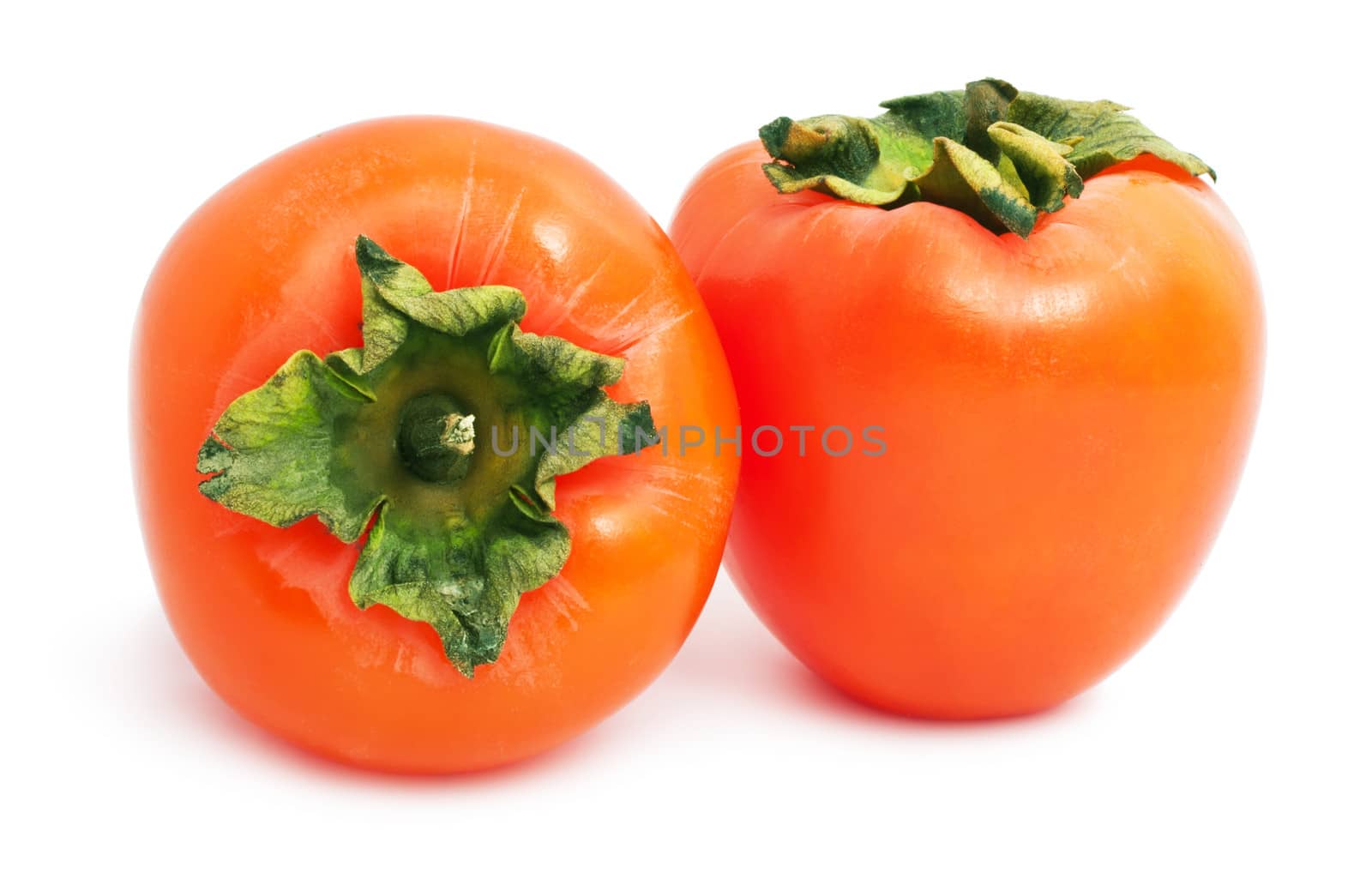 Fresh Persimmon or kaki diospyros ebony fruit on white background