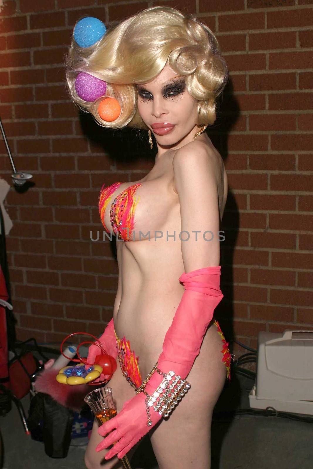 Heatherette Fashion Show Stock Image. 