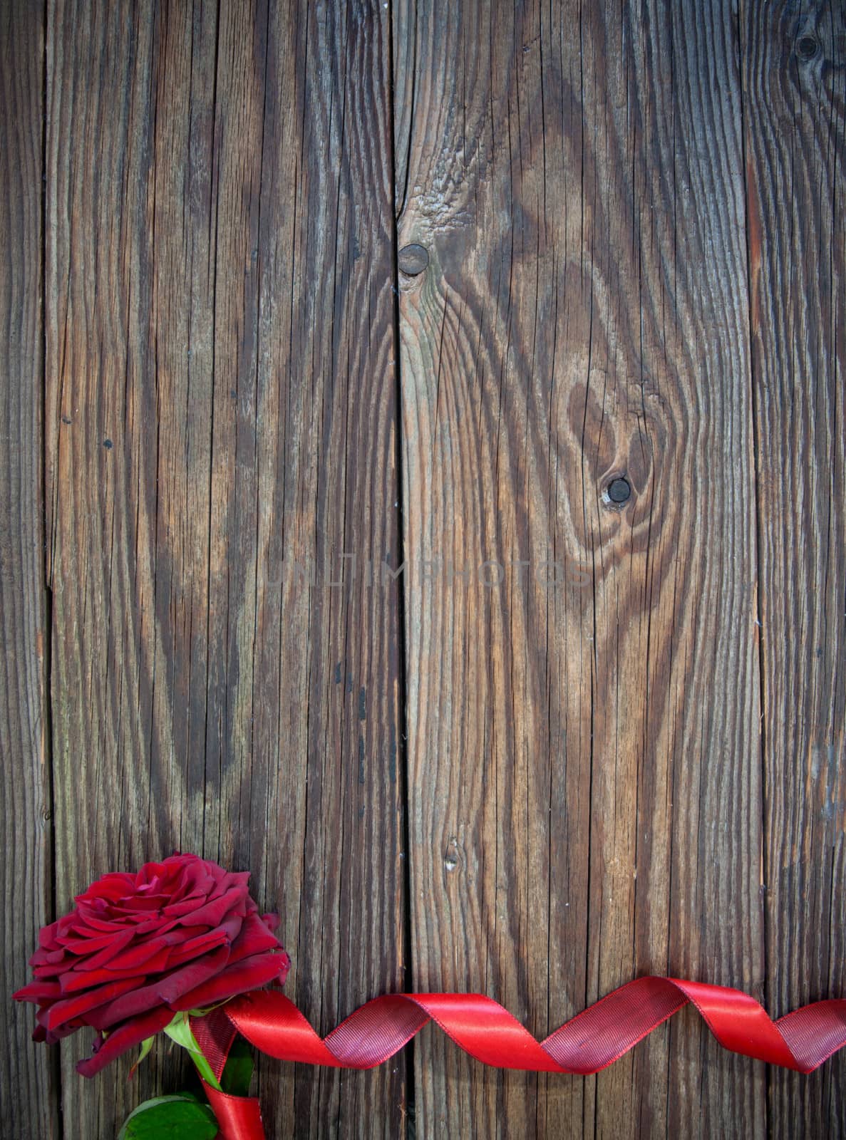 Red rose with decorative ribbon border over a wooden background 