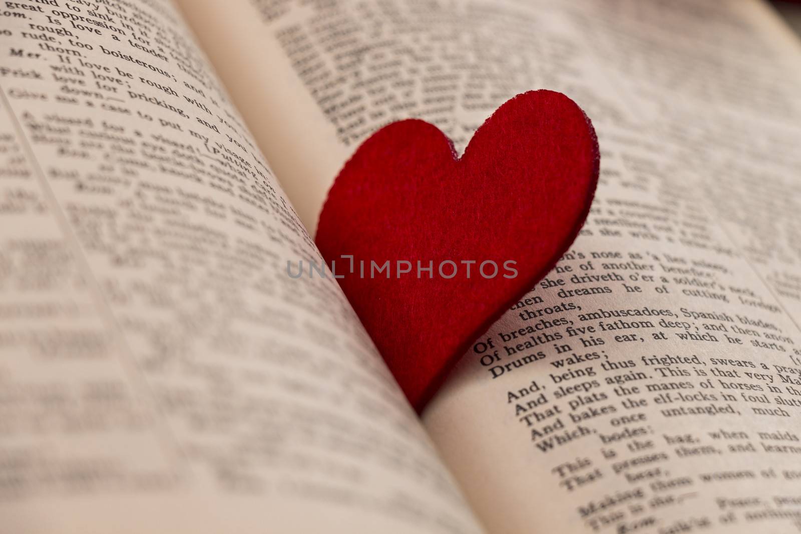 Big red heart in between a book by snowwhite