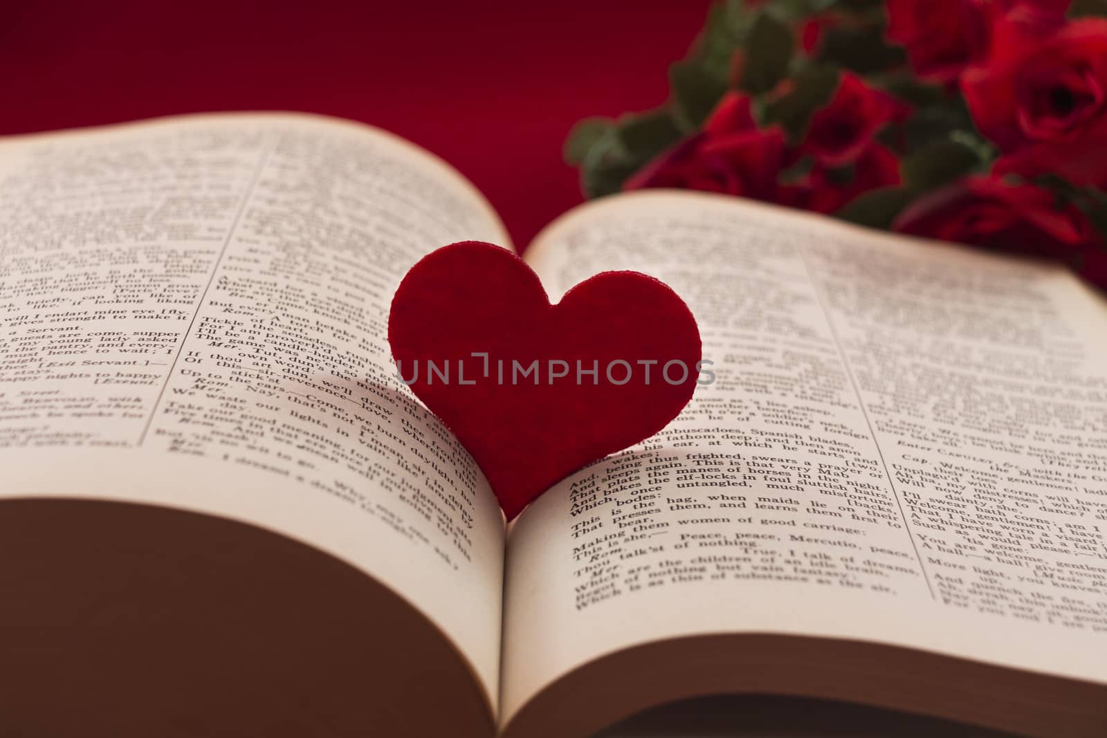 Heart in between a book with roses in the background by snowwhite