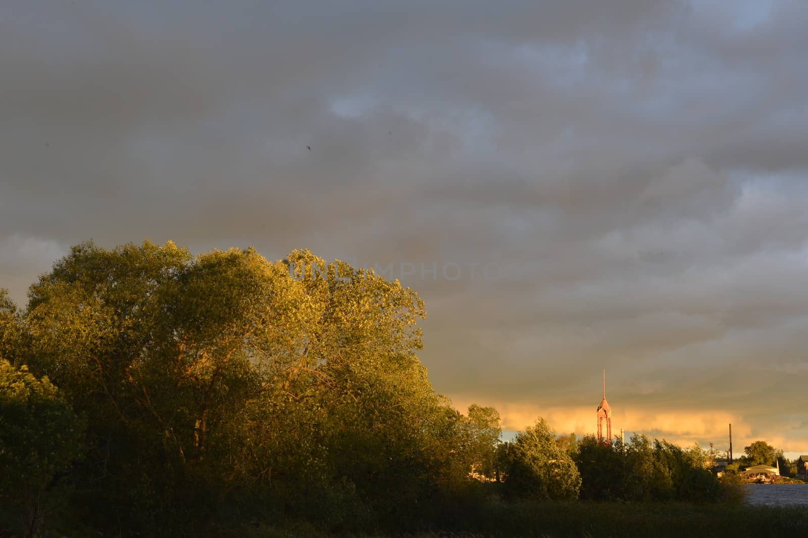 Sunset behind a trees. Summer time.