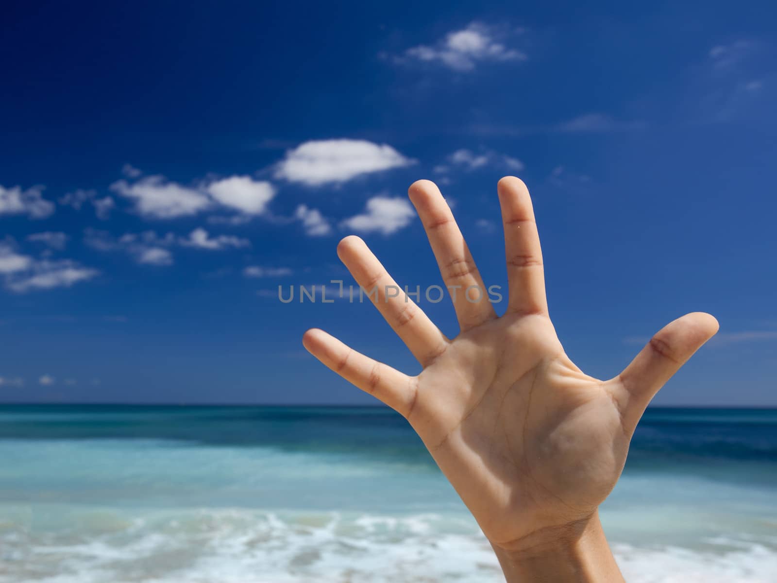 Female hands aganist a beautiful blue sky