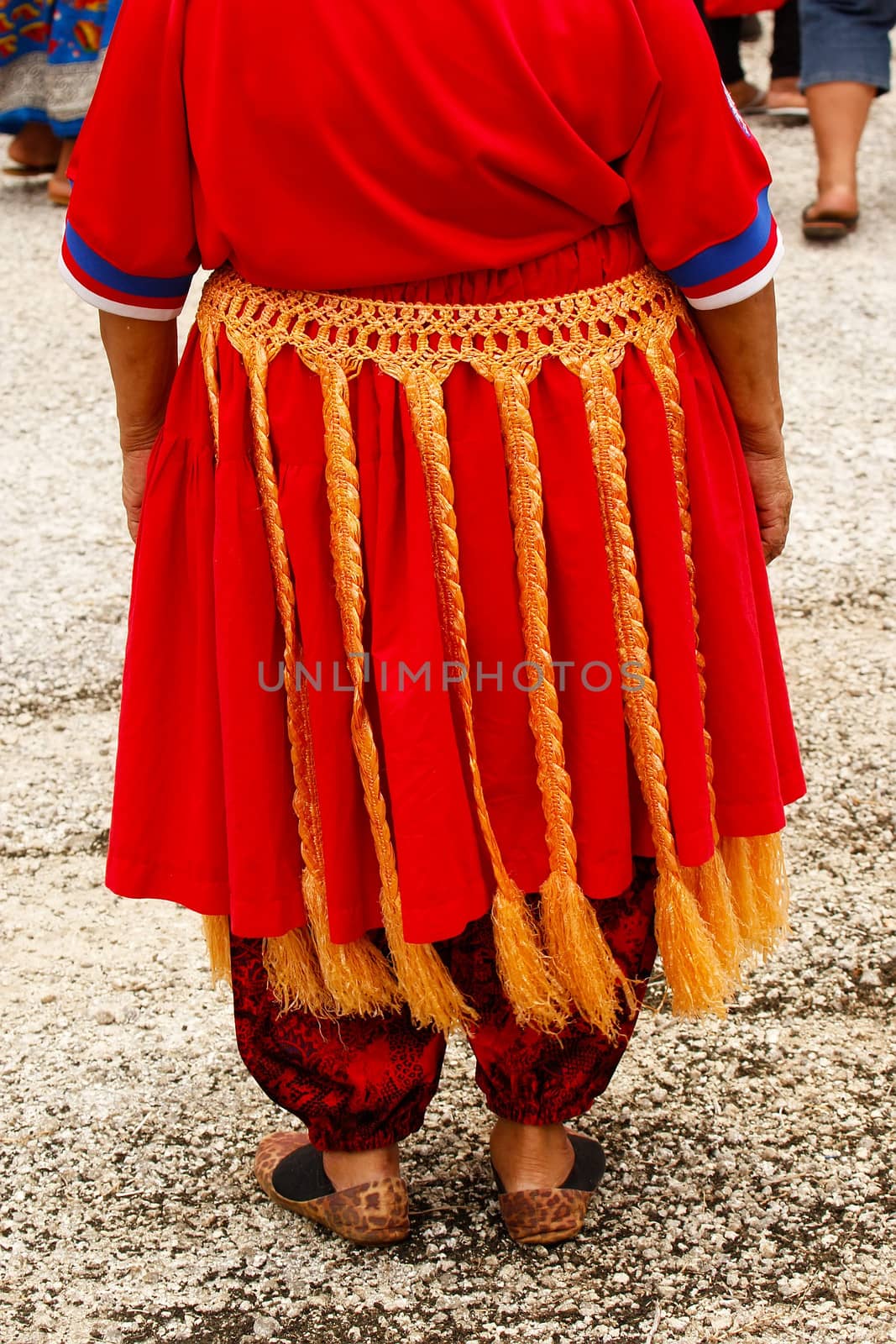 Detail of traditional tongan skirt, Vavau island, Tonga by donya_nedomam