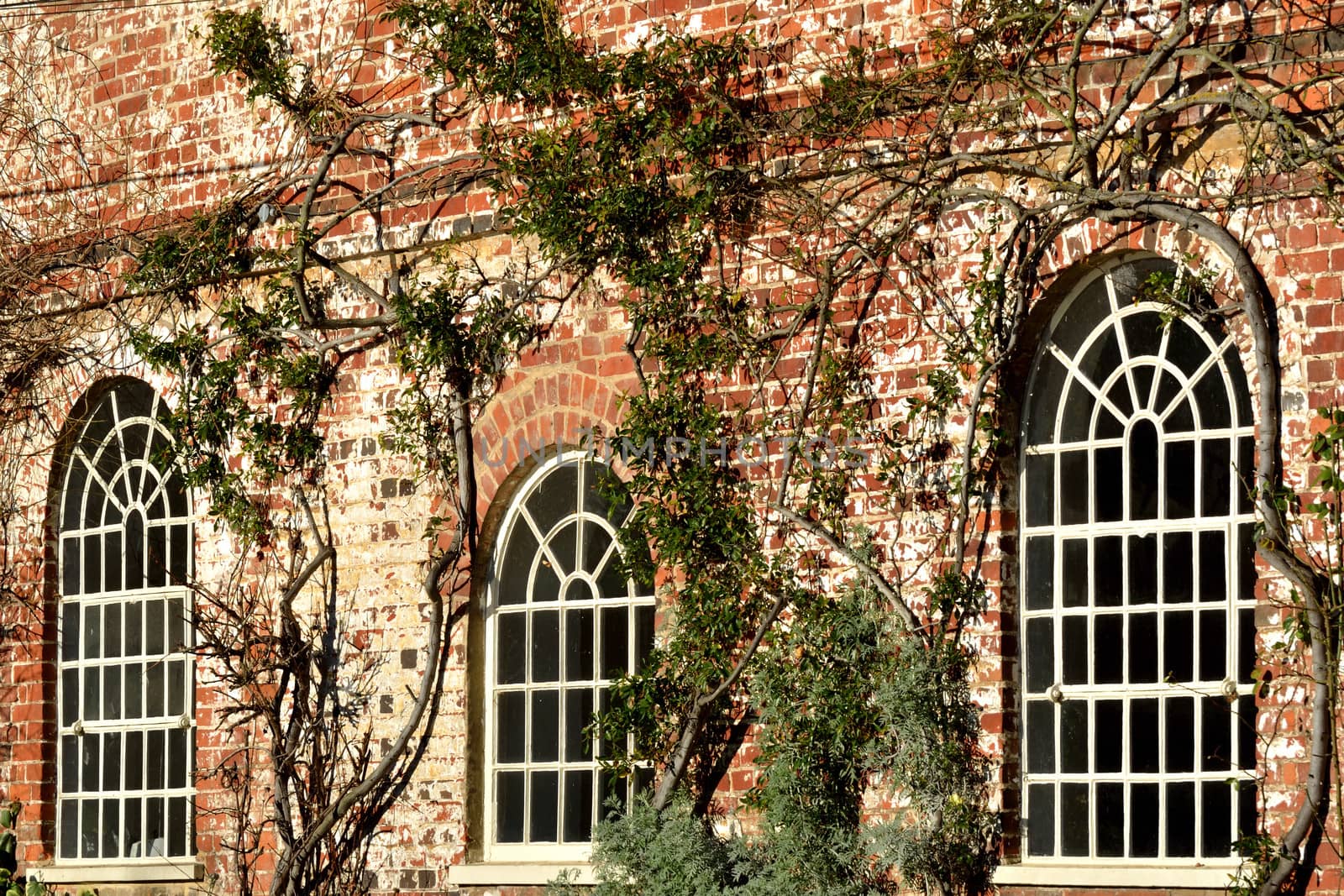 arched white brick windows by pauws99