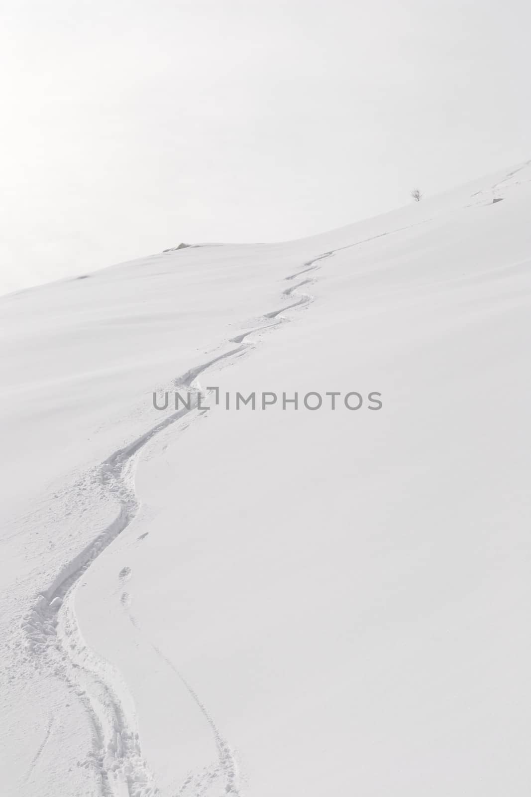 Back country ski tracks in candid powder snow on soft light in a cloudy day