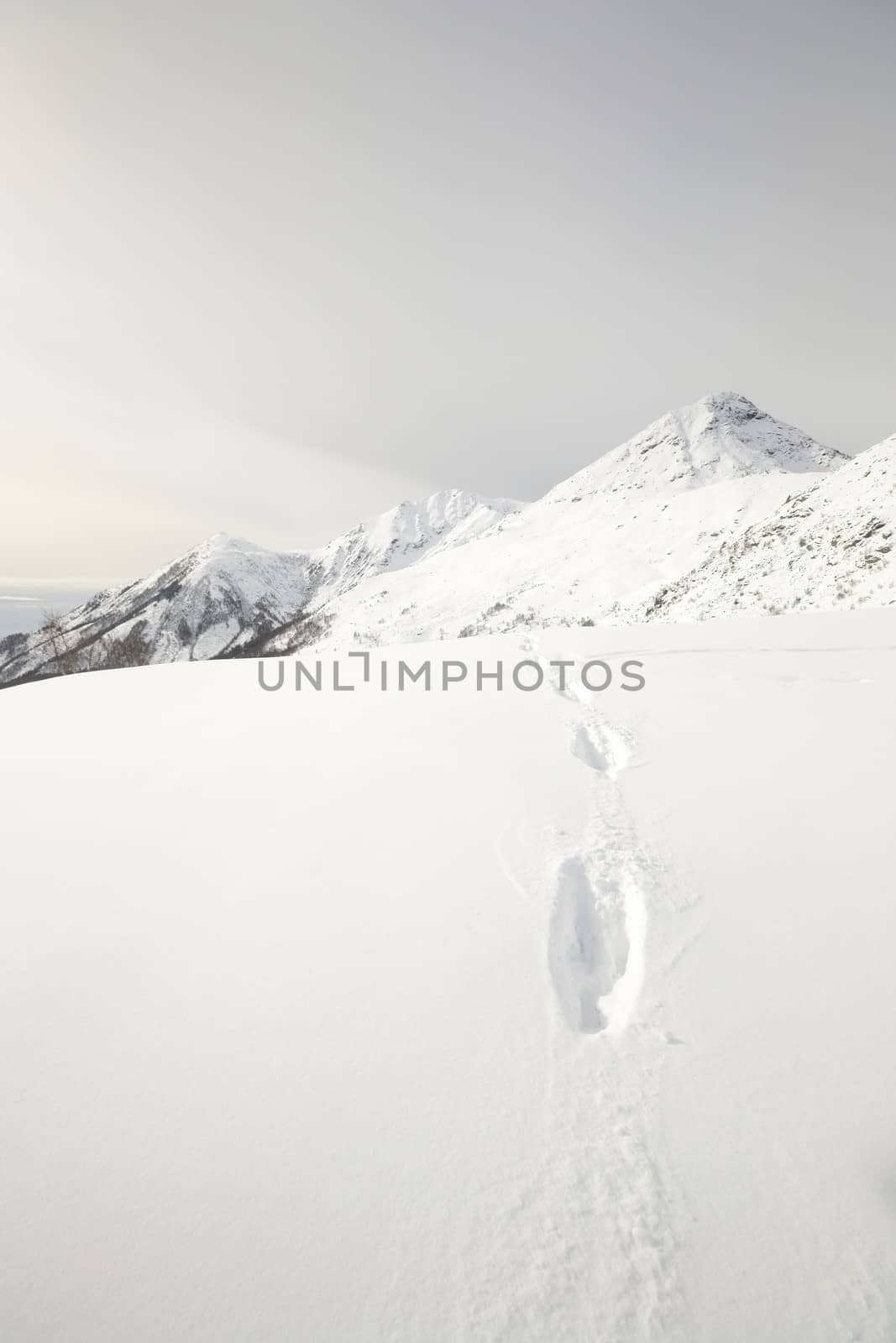 Wildlife traces on a snowy slope in scenic mountain view and cloudy day