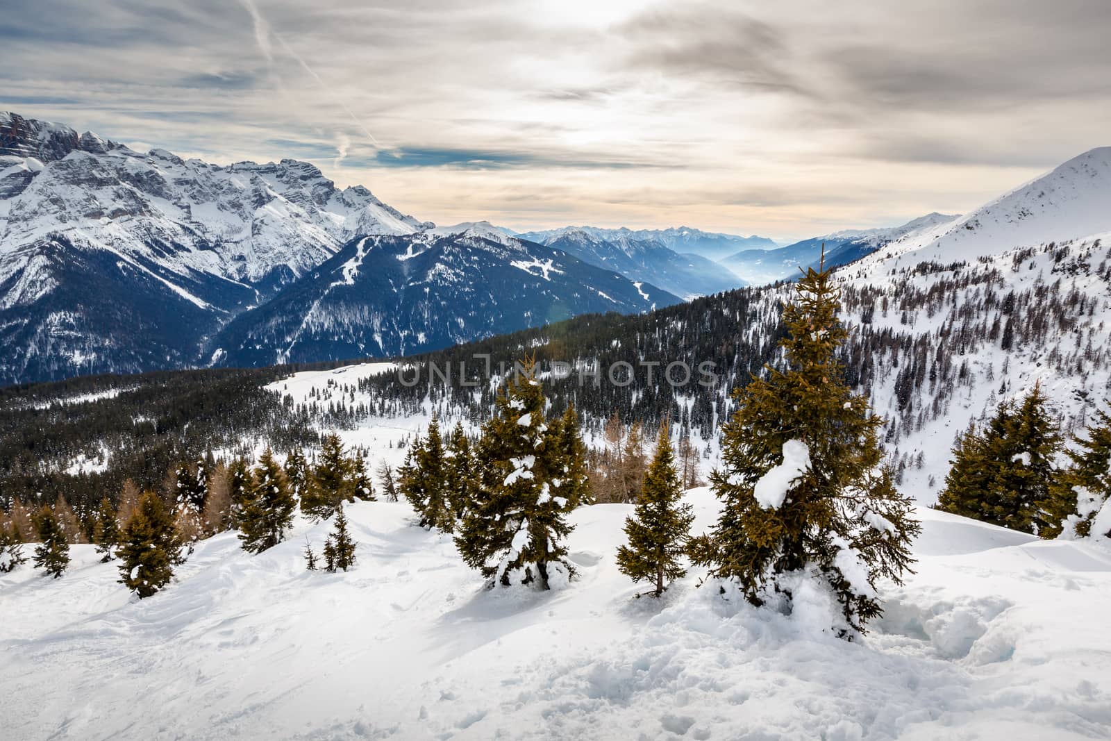 Madonna di Campiglio Ski Resort, Italian Alps, Italy by anshar