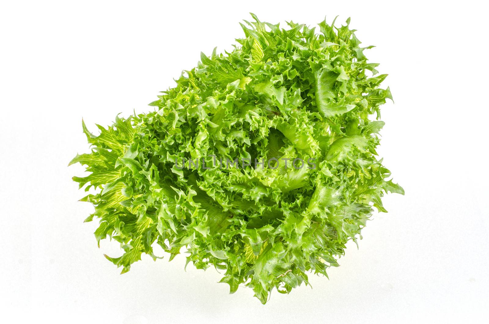 fresh green iceberg salad leaves isolated on white background