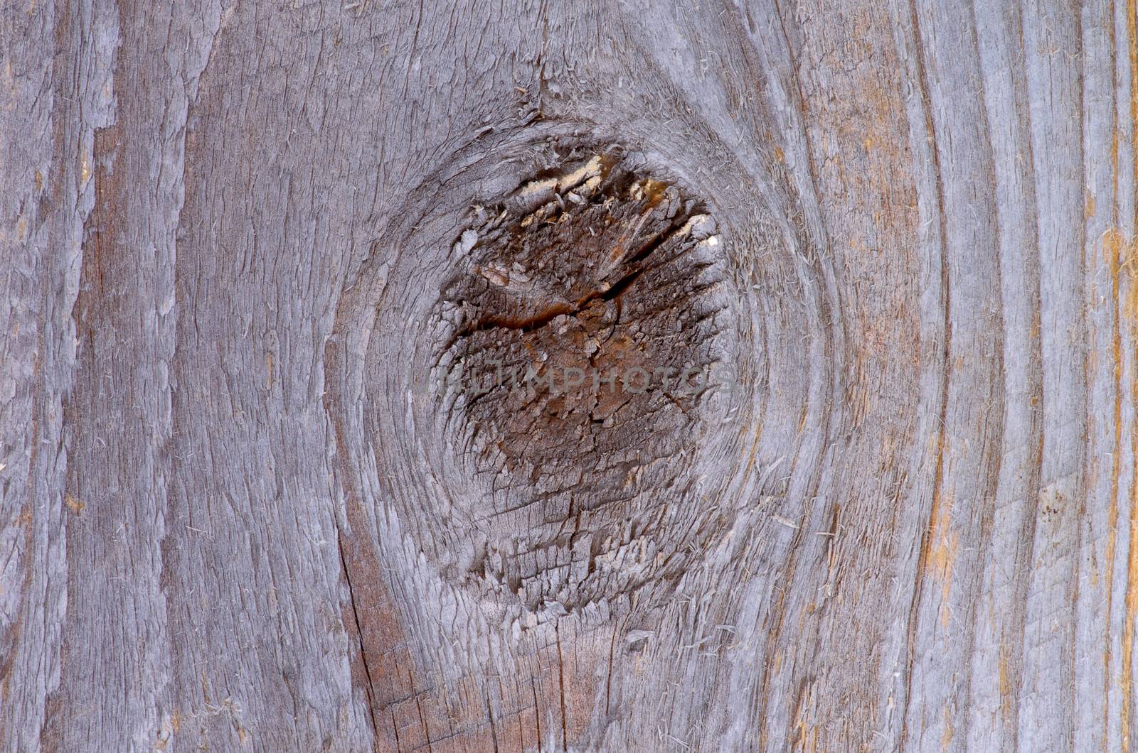 Natural Weathered Rustic Hardwood Background with Timber Knot closeup