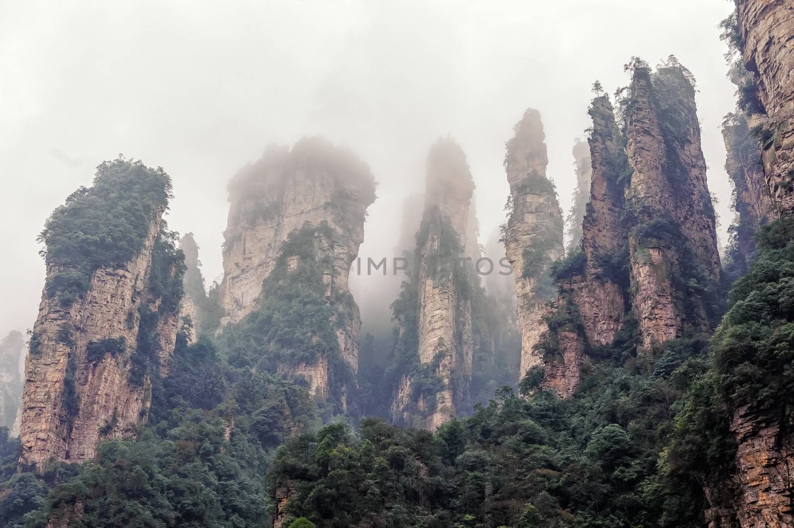 The typical Zhangjiajie mountain in fog.