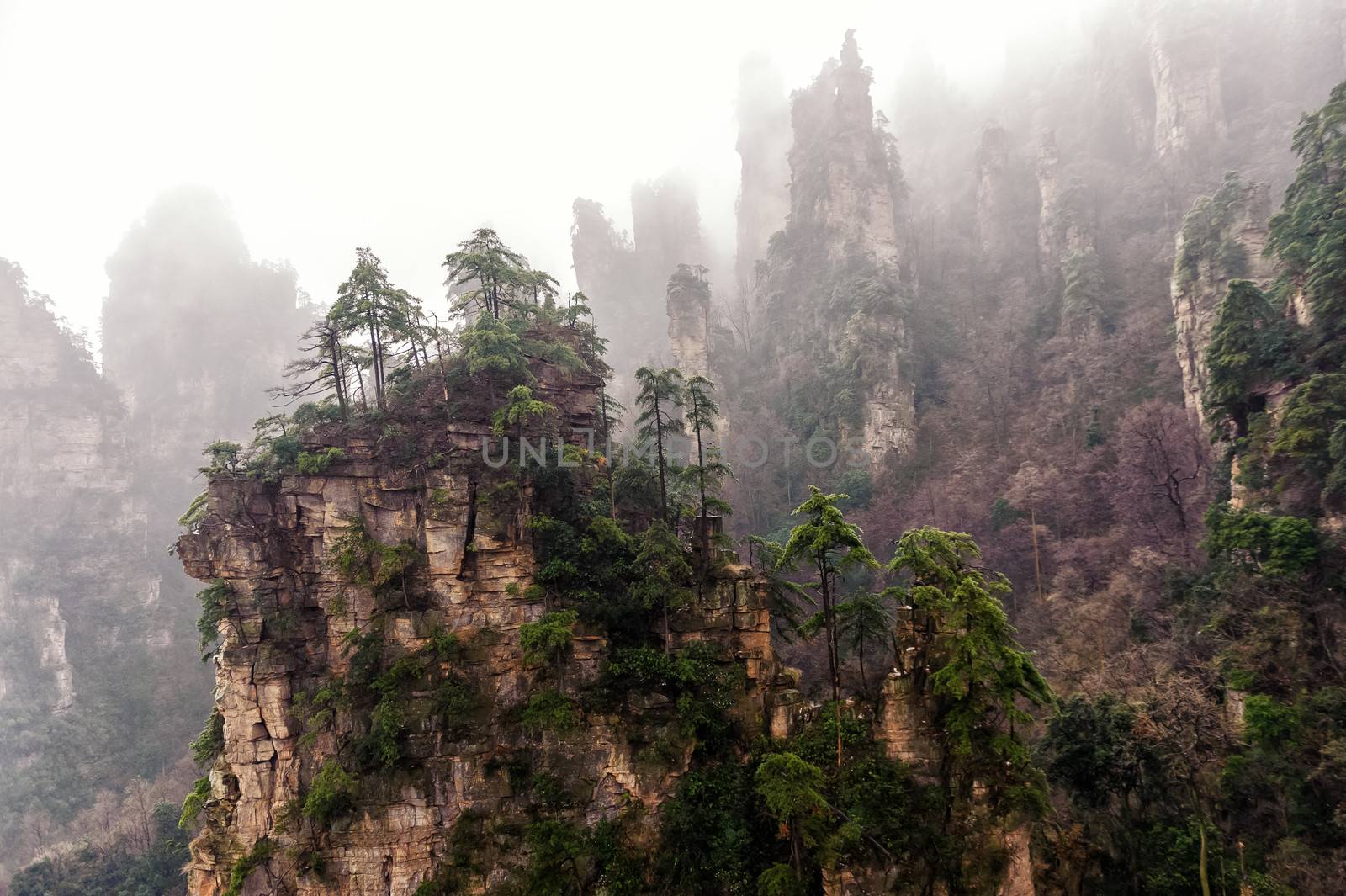 The typical Zhangjiajie mountain in fog.