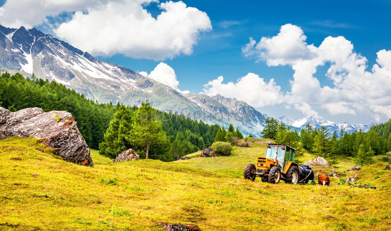 Landscape in the Alps with a tractor, a cow and mountains in background