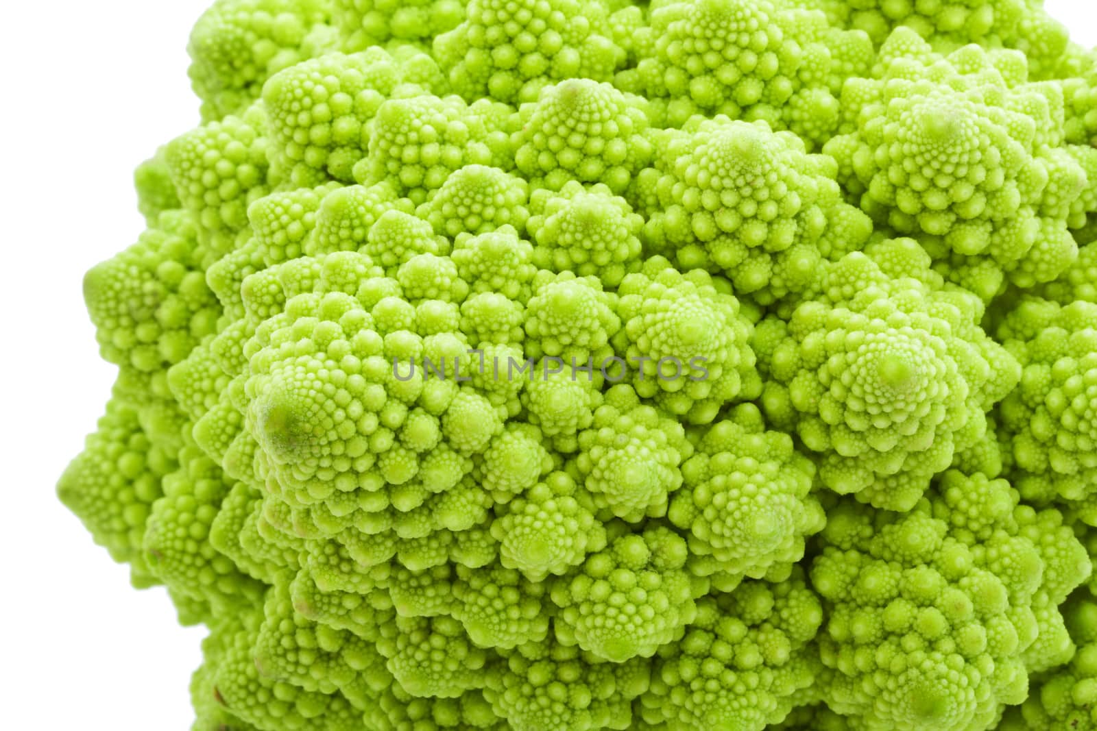 Green Romanesco broccoli isolated on white background