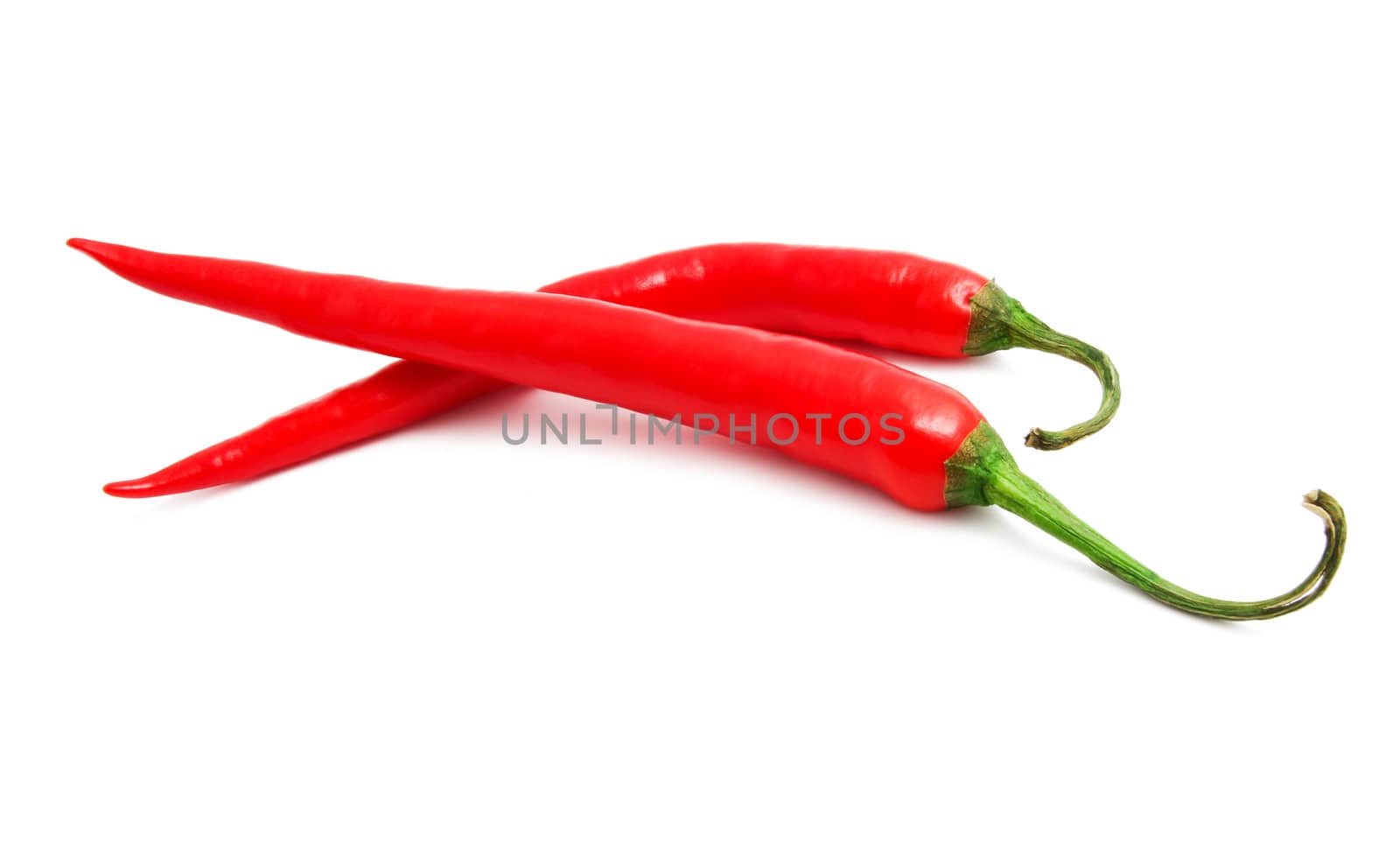 Red hot chili pepper isolated on white background