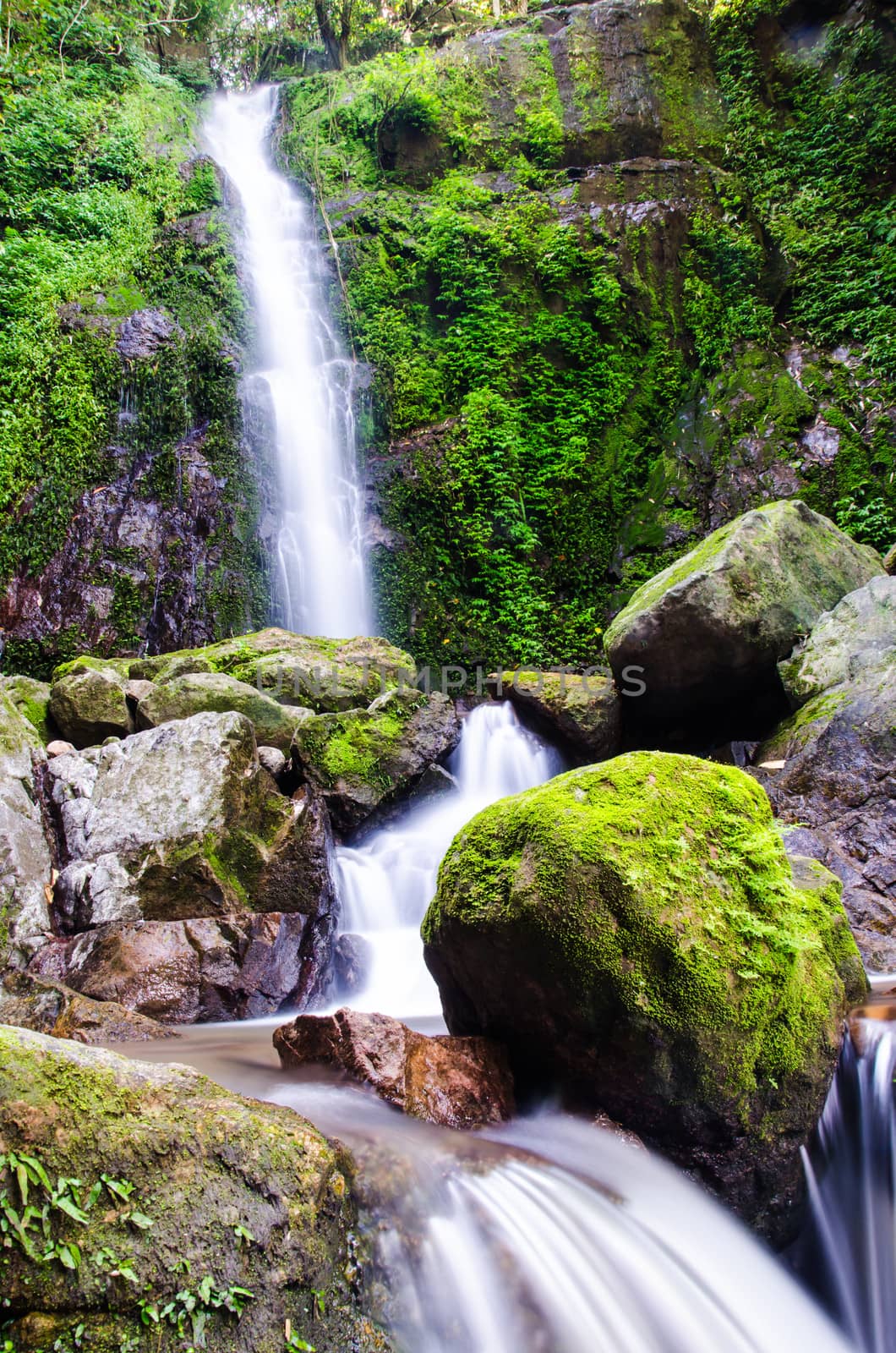 Pa San Kone waterfall in deep forest, Nakhon Nayok, Thailand.