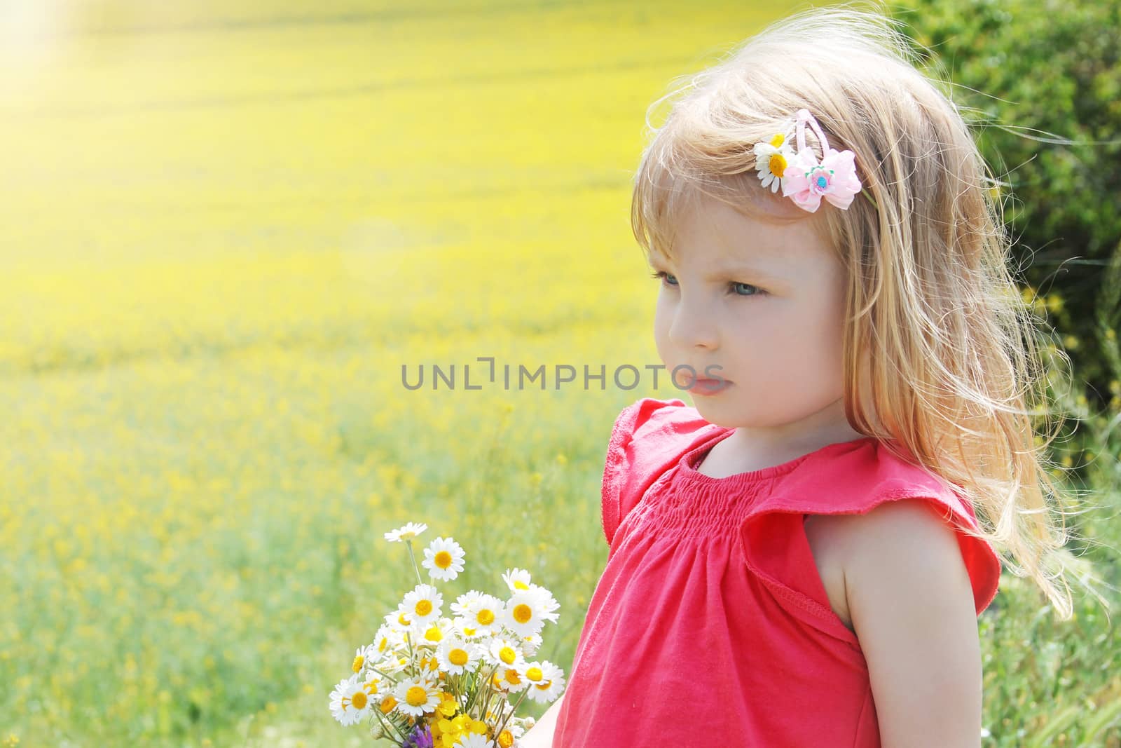 Sweet baby girl among rapeseed field with camomile bouquet