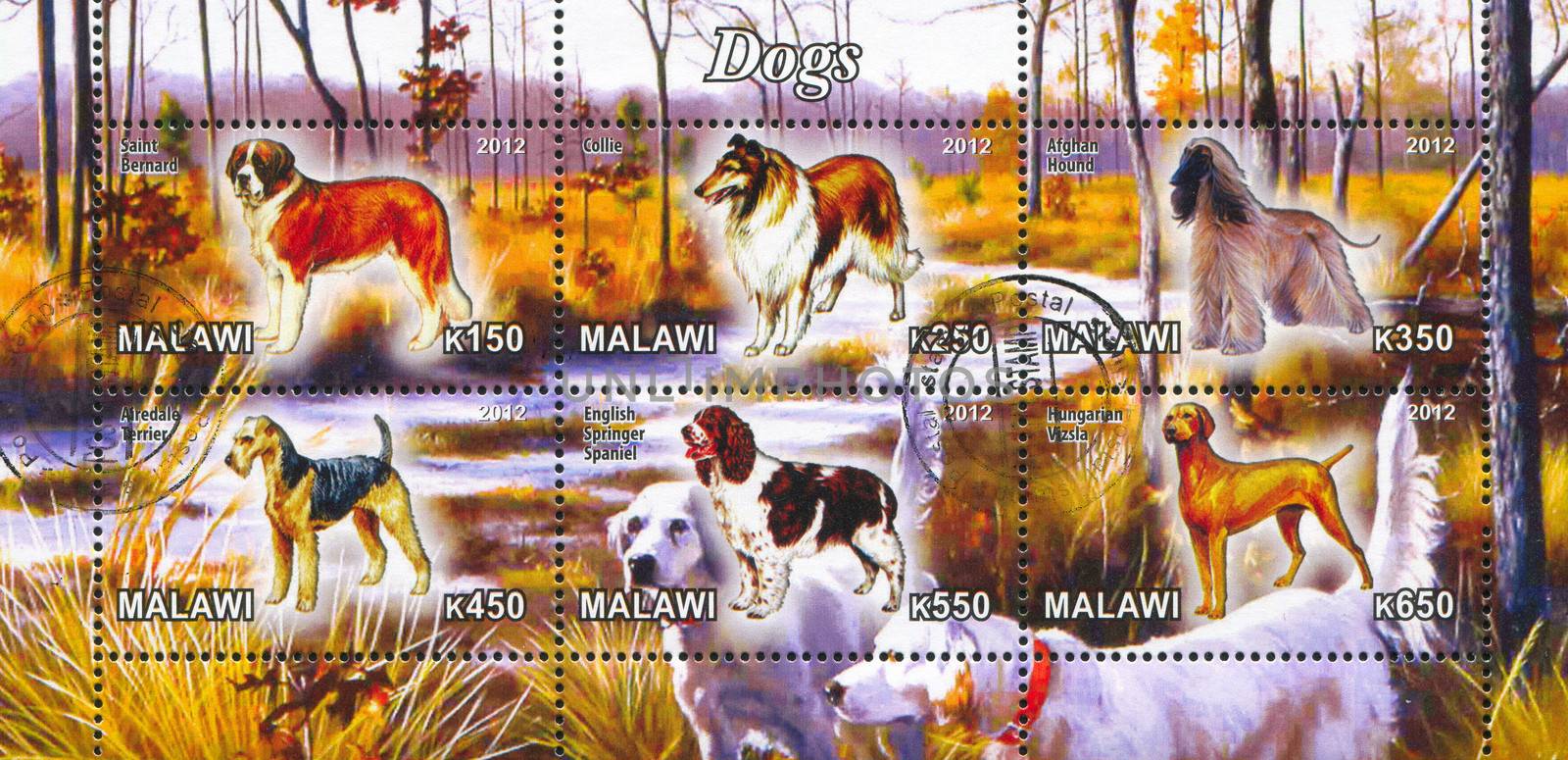 MALAWI - CIRCA 2012: stamp printed by Malawi, shows breed dogs, circa 2012