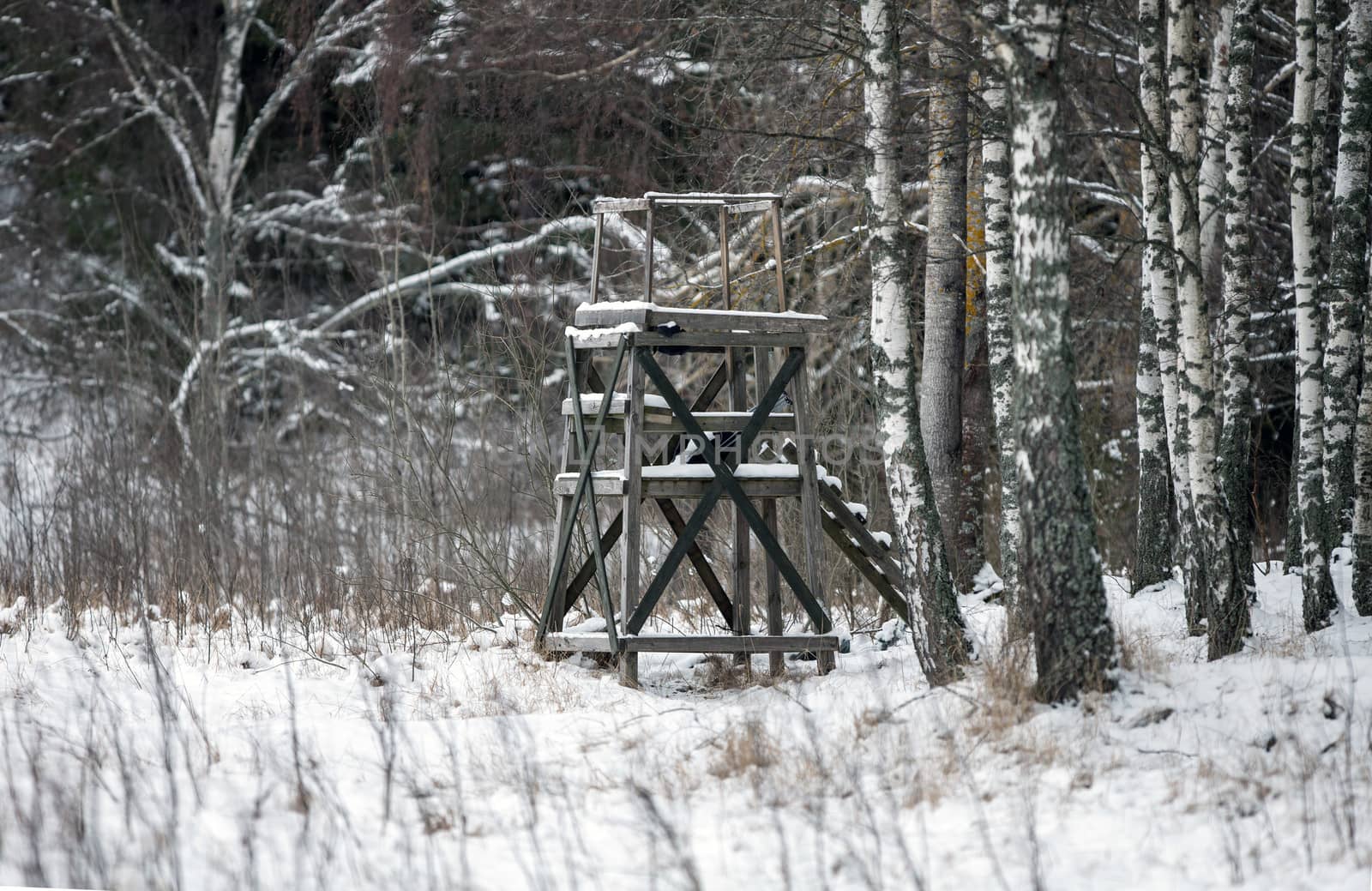 Hunting Stand