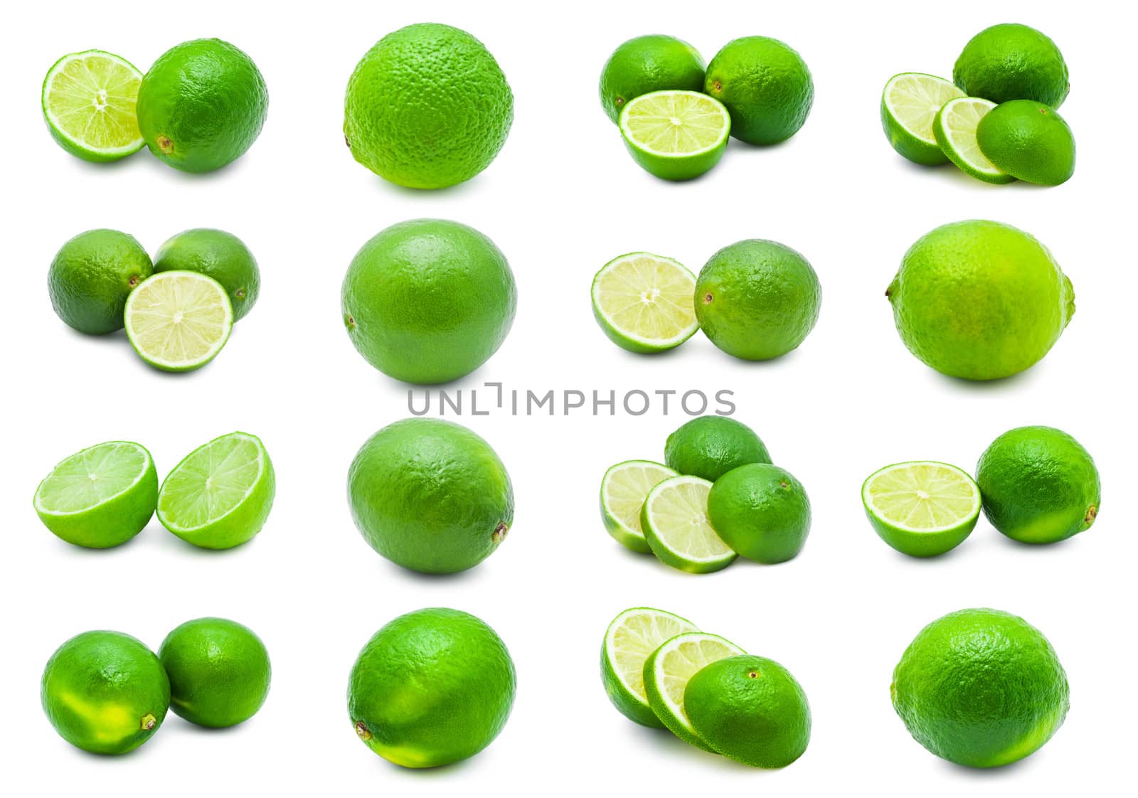 Lime by sailorr