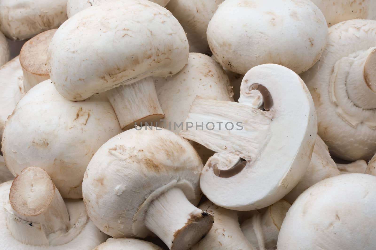 Champignon mushrooms by sailorr