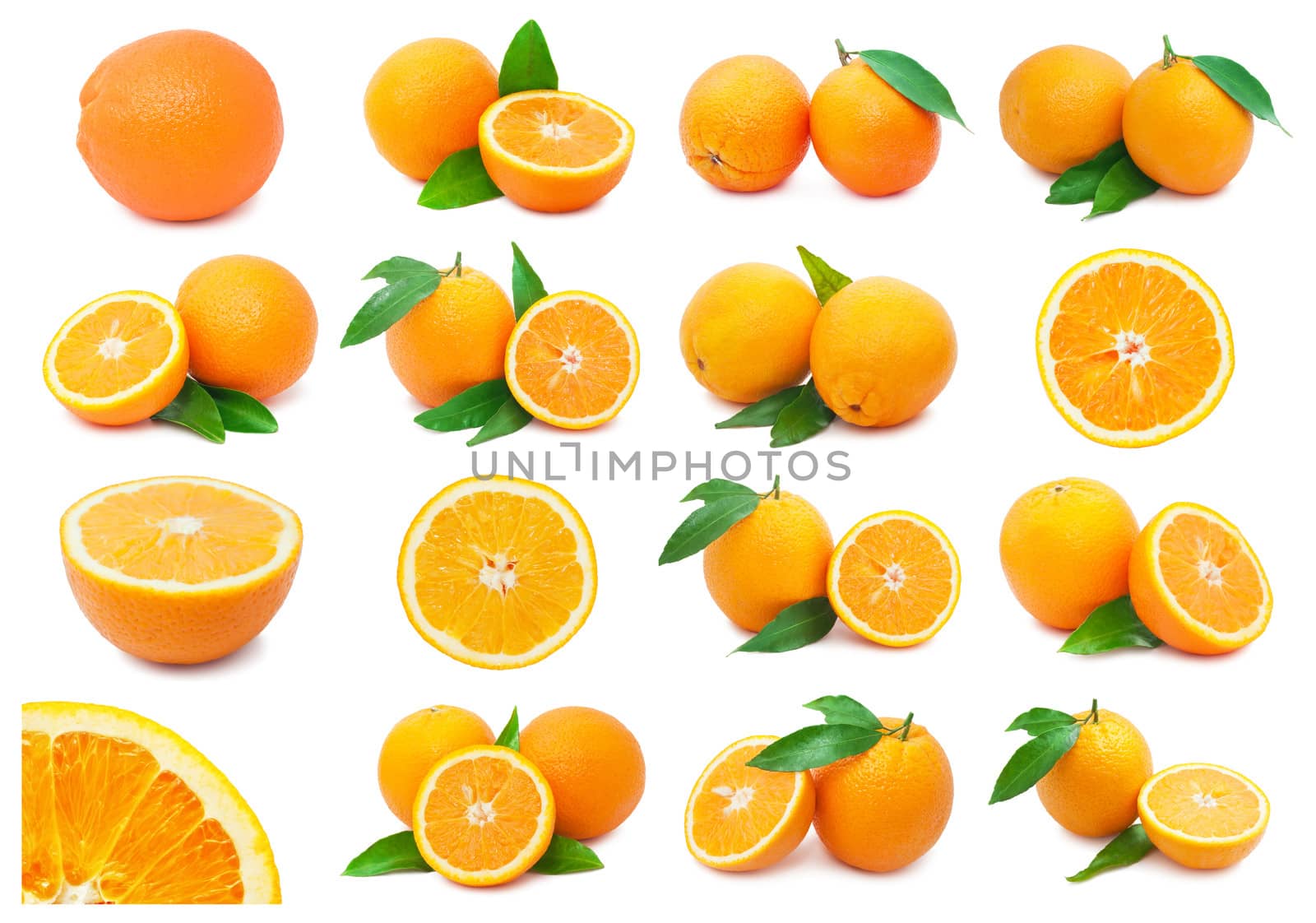 Oranges by sailorr