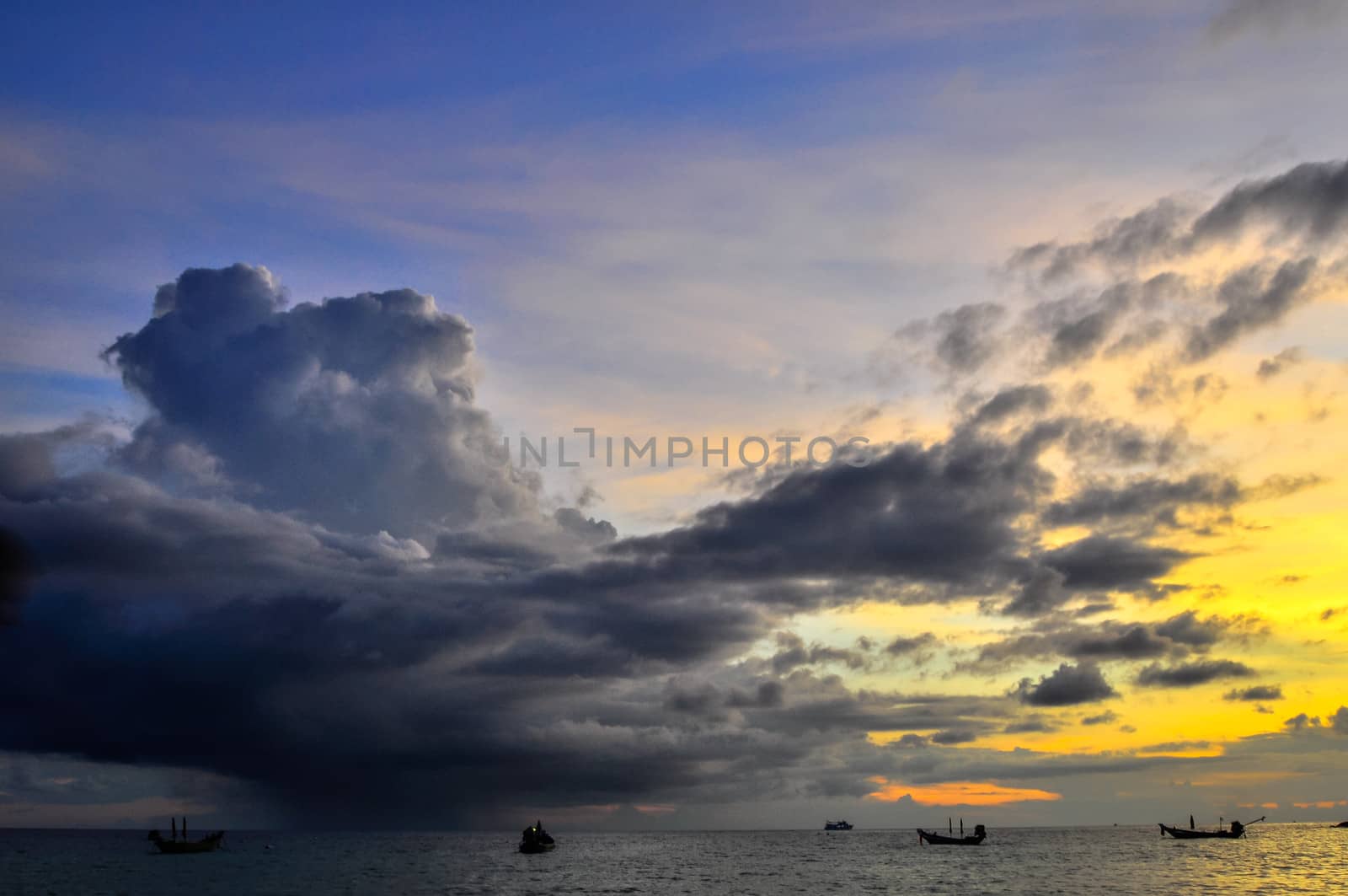 Koh Chang coconut tree, Thailand by weltreisendertj