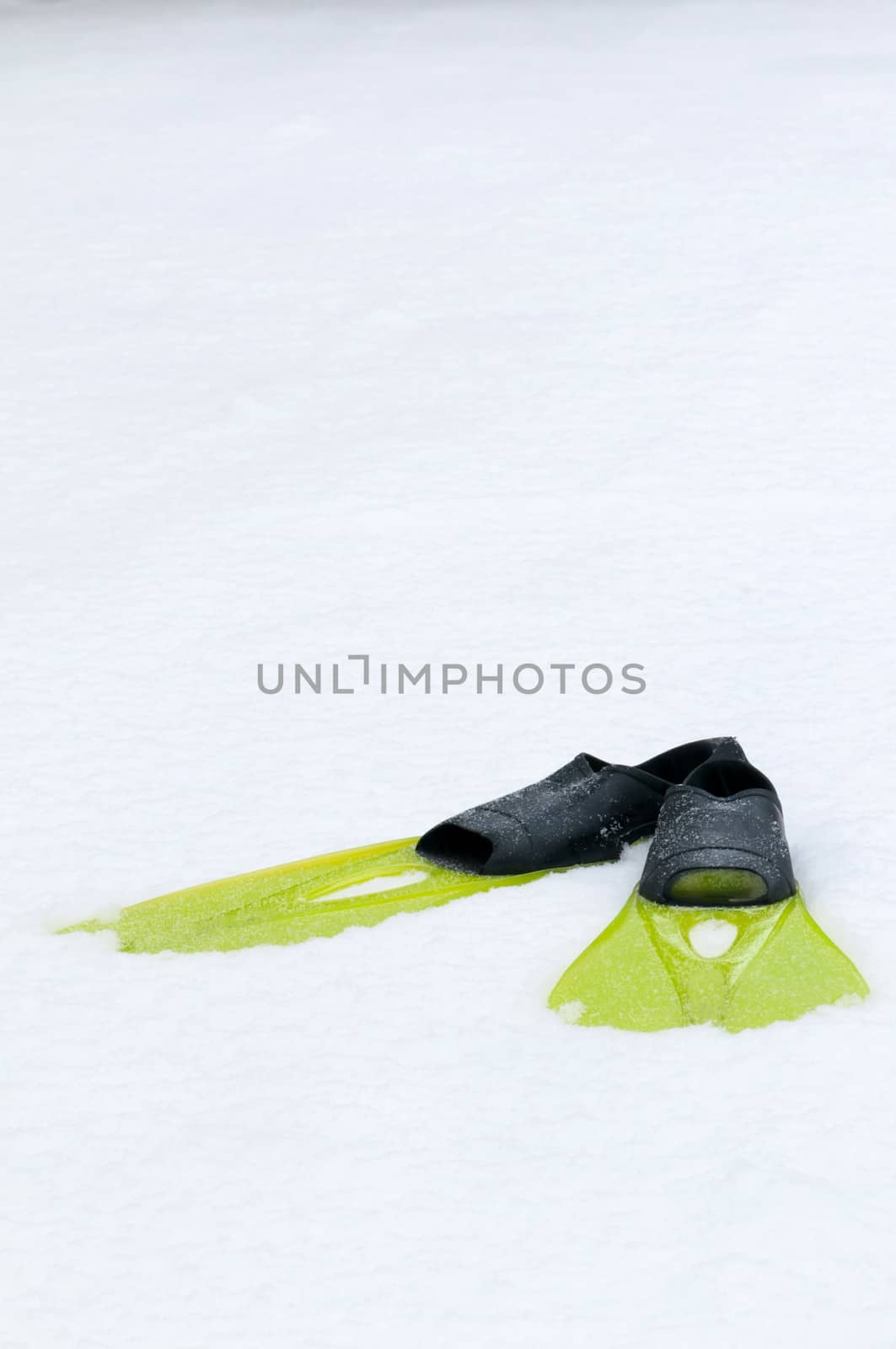 Conceptual shot of flippers lying on the snow