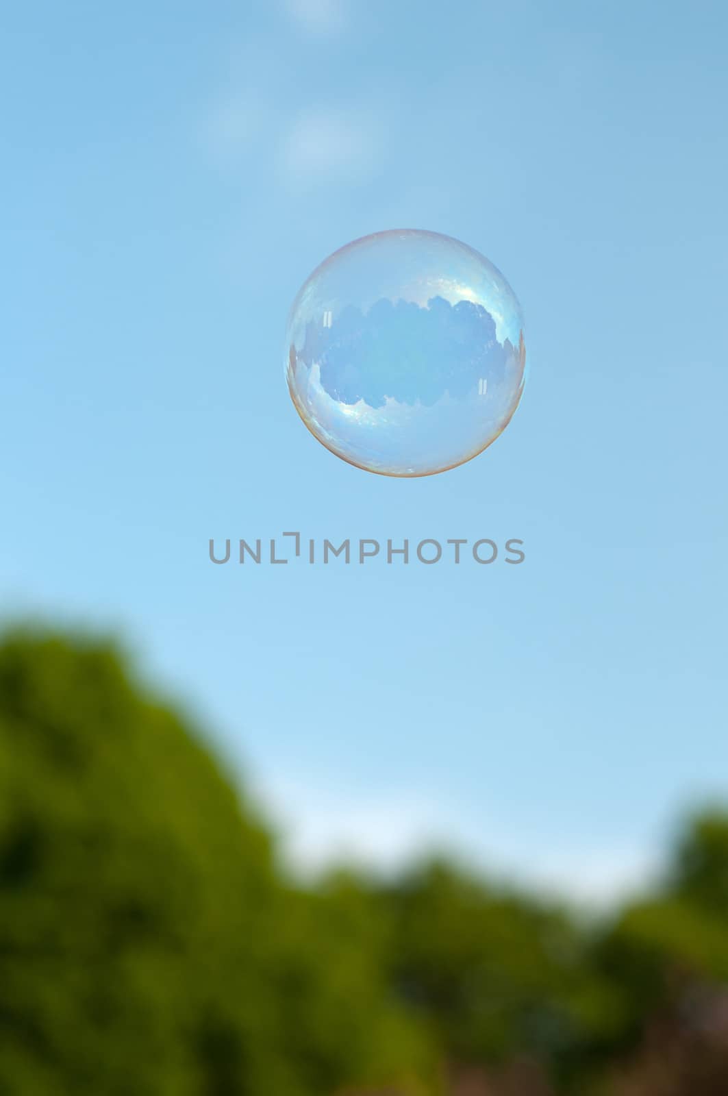 Outdoor shot of soap bubble in summer