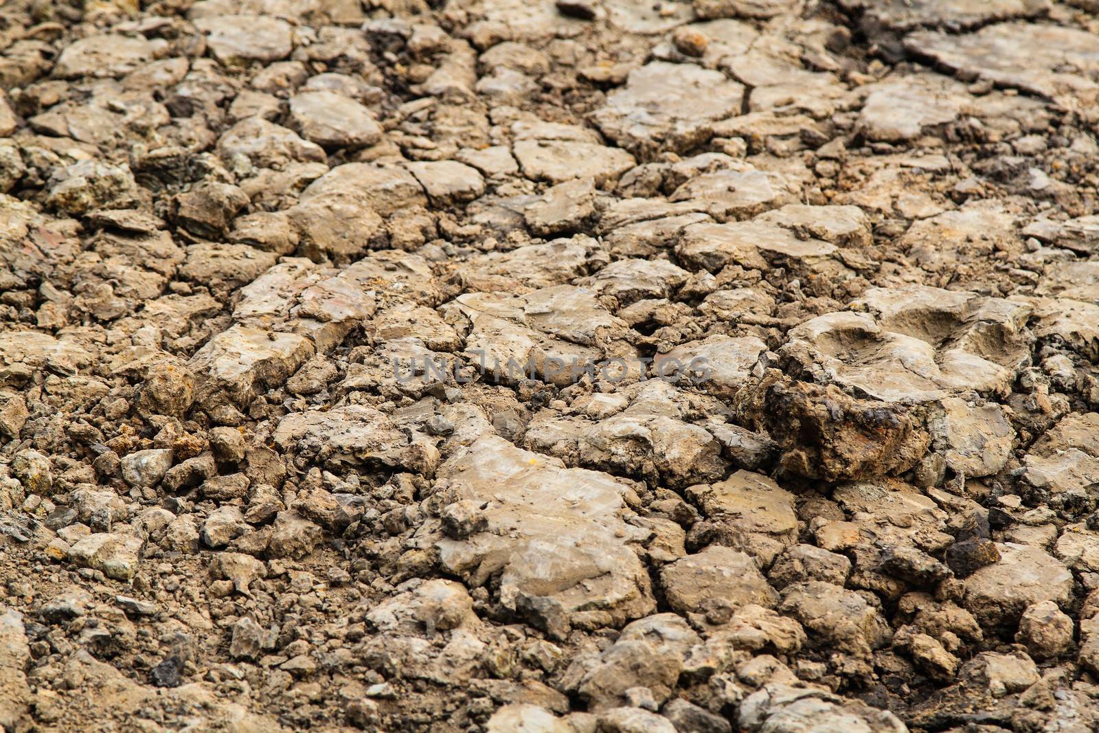 Dry agricultural brown soil detail natural background