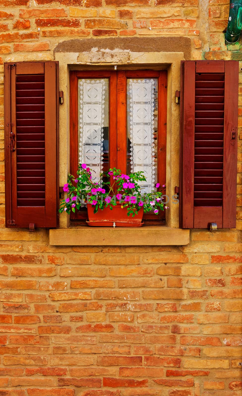 Italian Window with Open Wooden Shutters, Decorated With Fresh Flowers