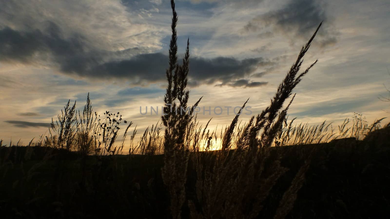 Photo Show Autumn Sunset Scene.