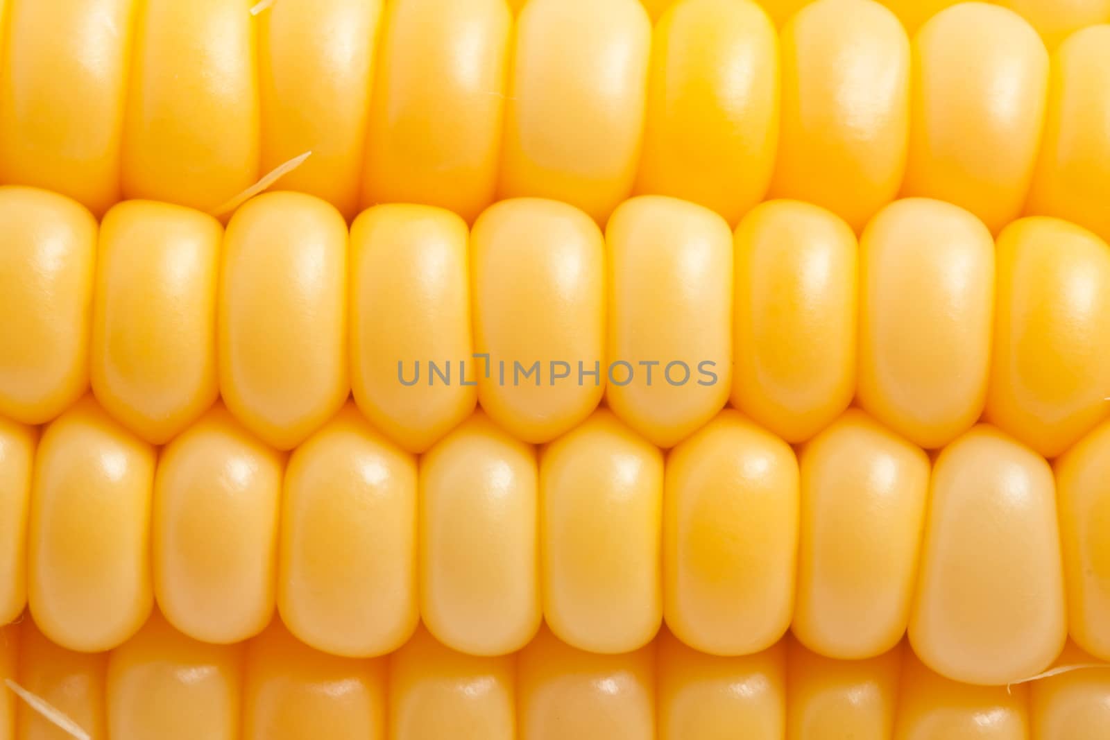 Macro photo of yellow corn background, healthy and tasty food