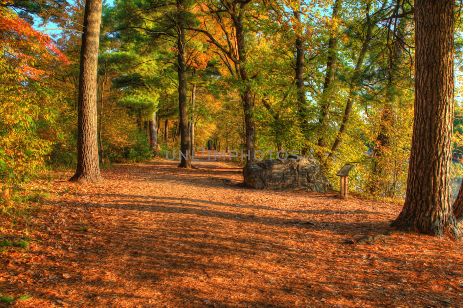 Colorful scenic Landscape in High Dynamic Range.