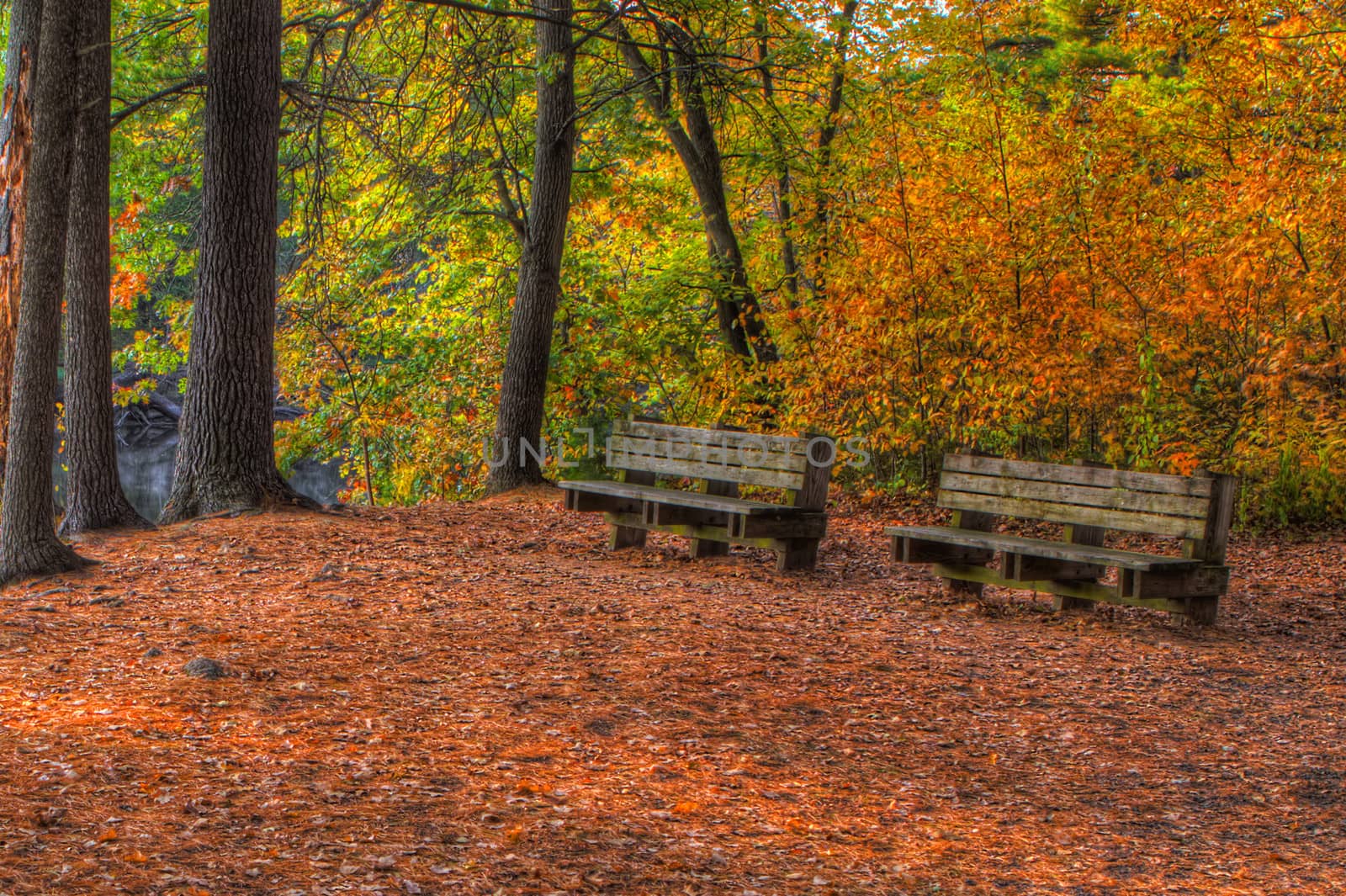 Colorful scenic Landscape in HDR with bench by Coffee999