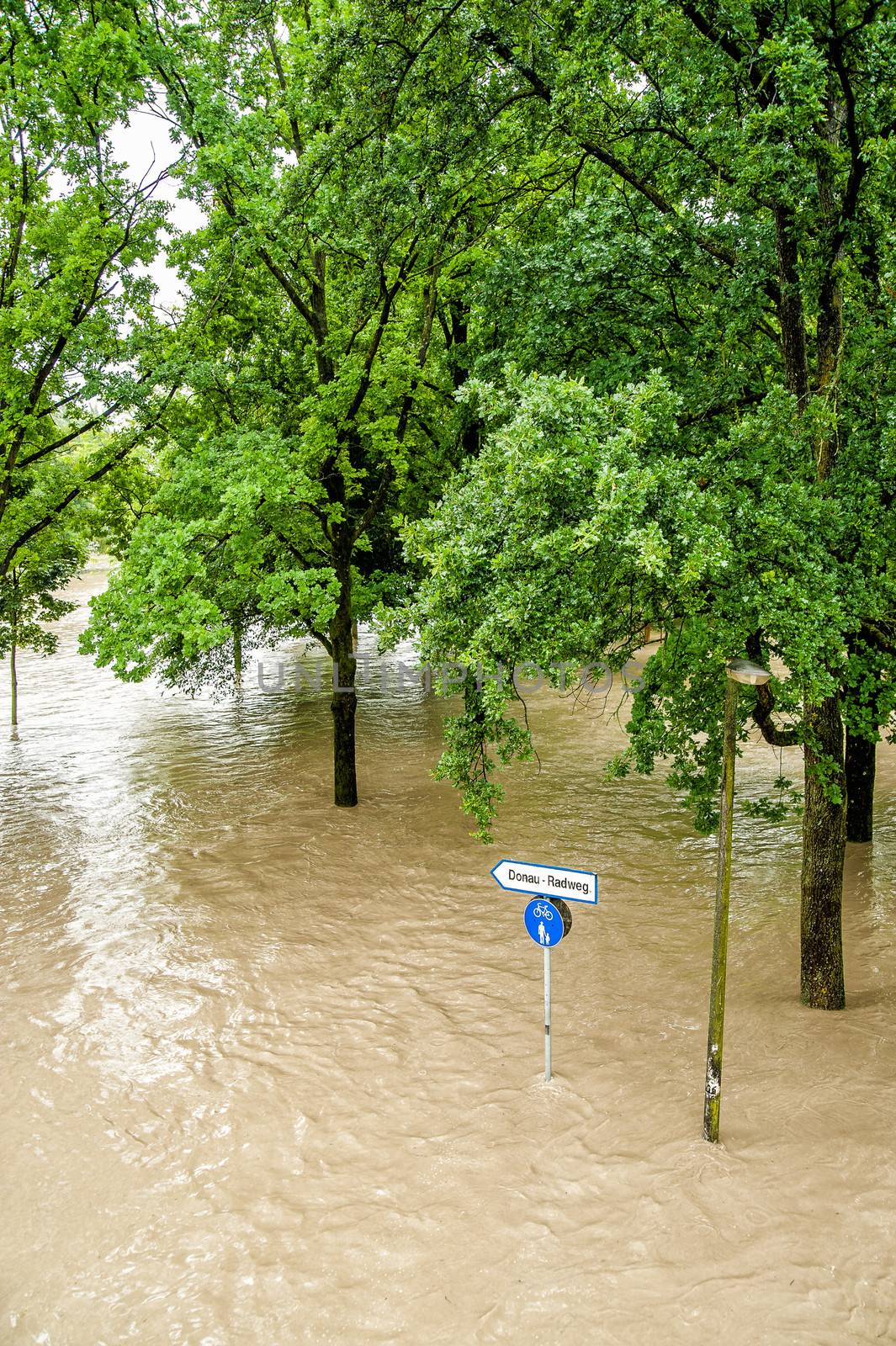 High Water on the Danube River in Linz, Austria