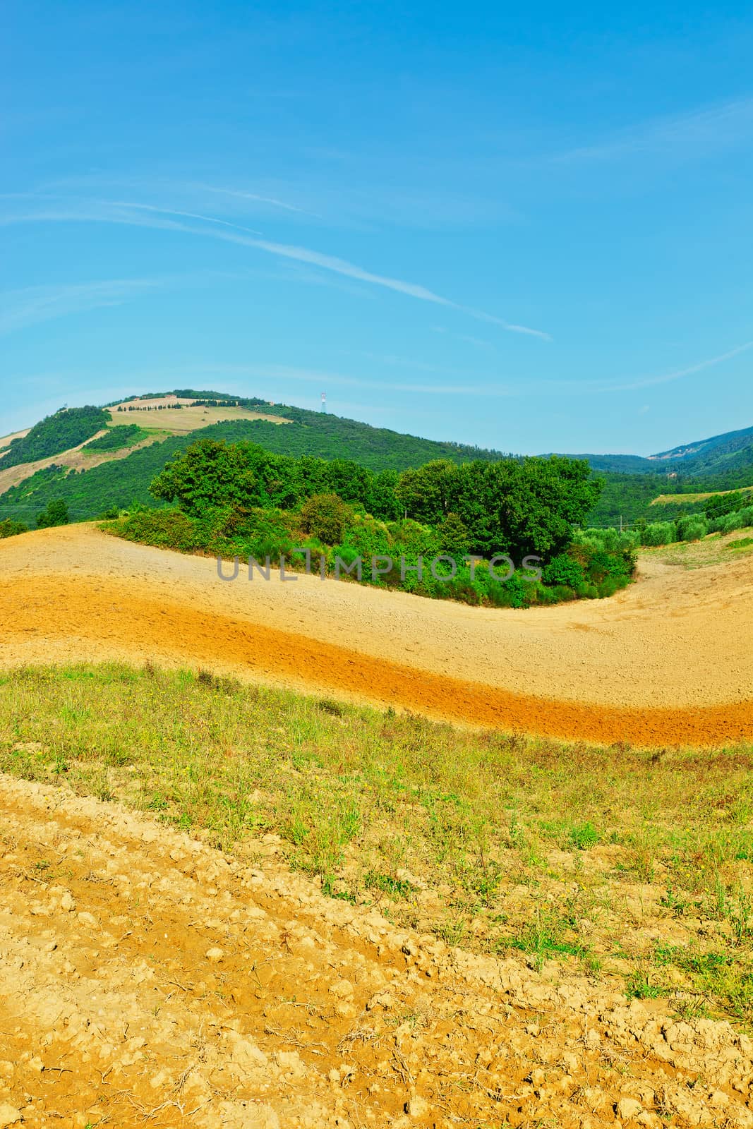 Plowed Sloping Hills of Tuscany in the Autumn