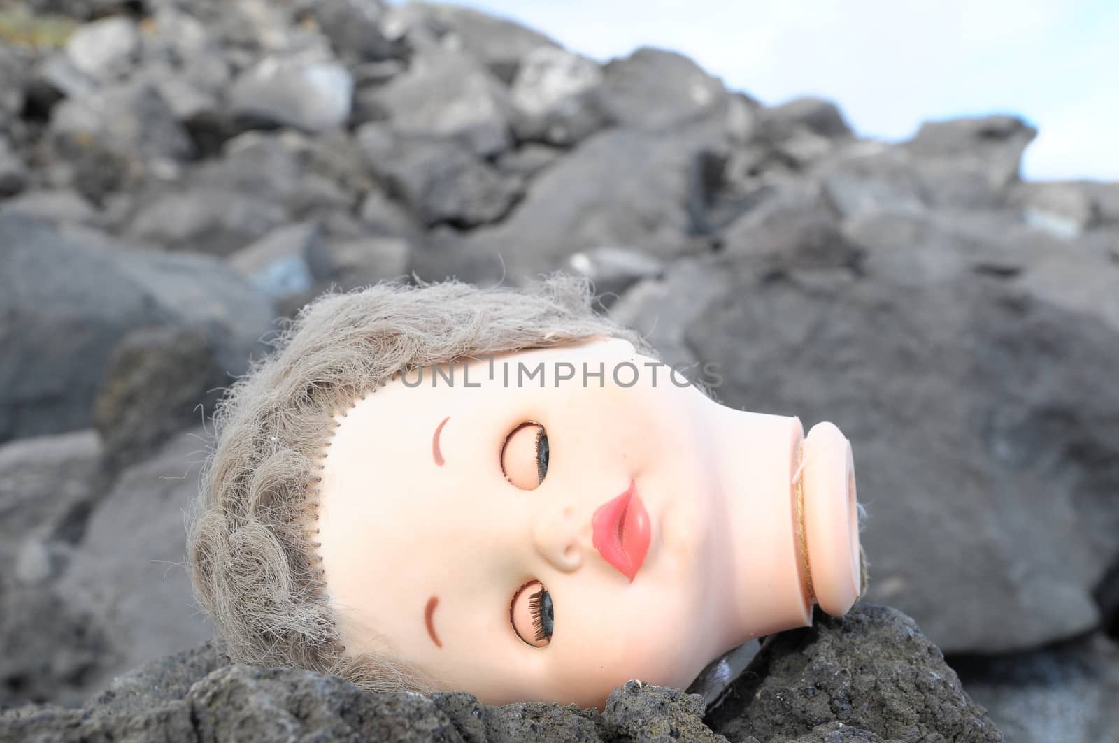One Ancient Dool's Head Abandoned on the Rocks