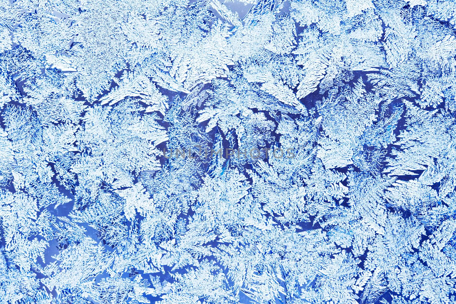 Frost pattern by sailorr