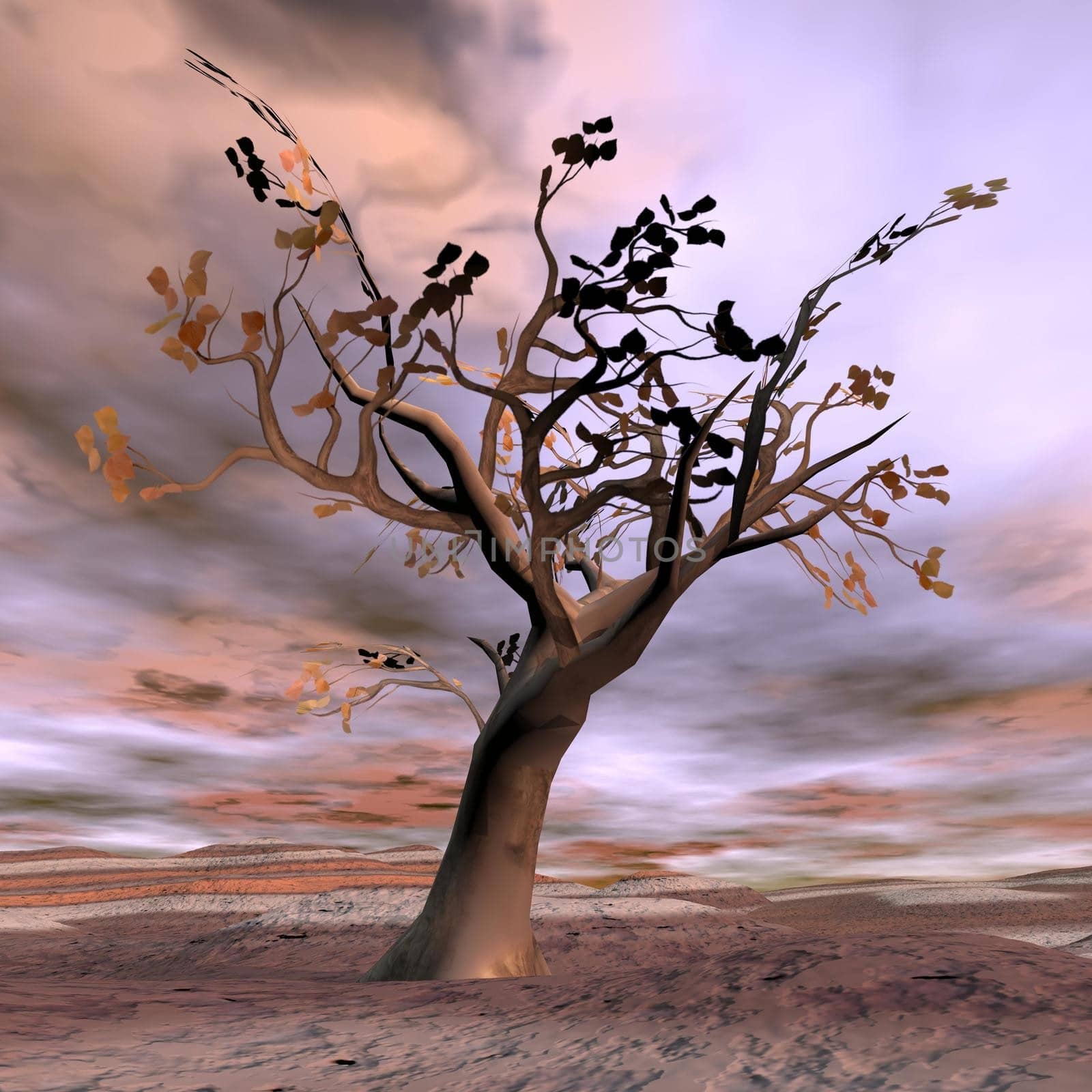 Beautiful autumn fantasy tree in desert landscape by colorful sunset
