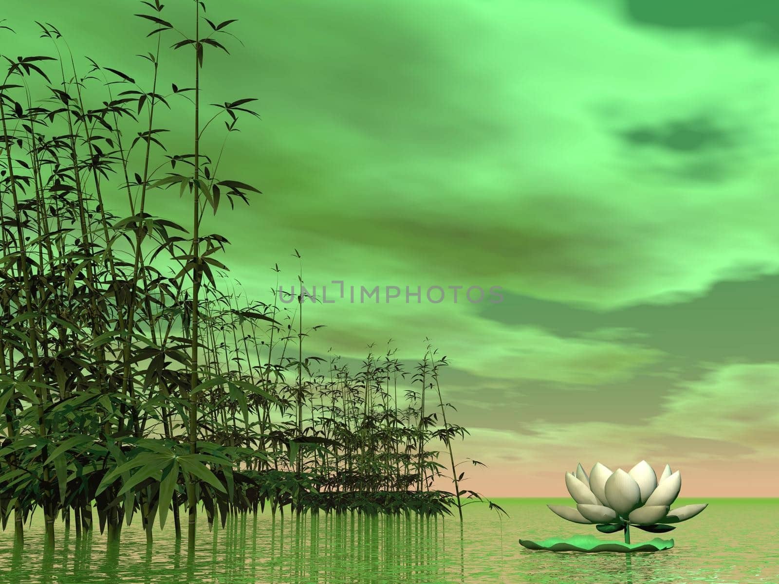 Zen nature - 3D render by Elenaphotos21