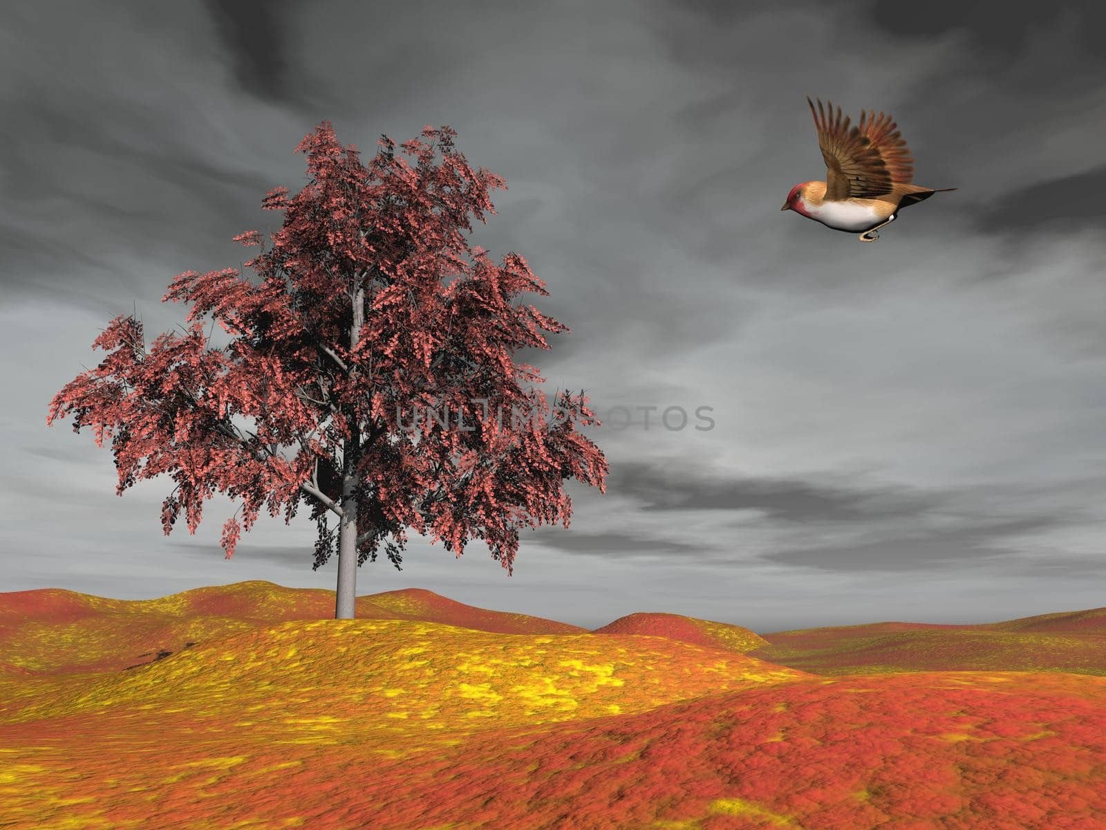 Beautiful brown small bird flying to autumn tree by grey cloudy day