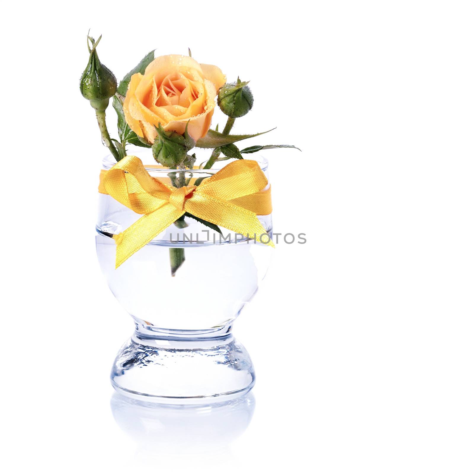  Yellow roses in a glass. Yellow flowers. Roses. Bouquet of roses.