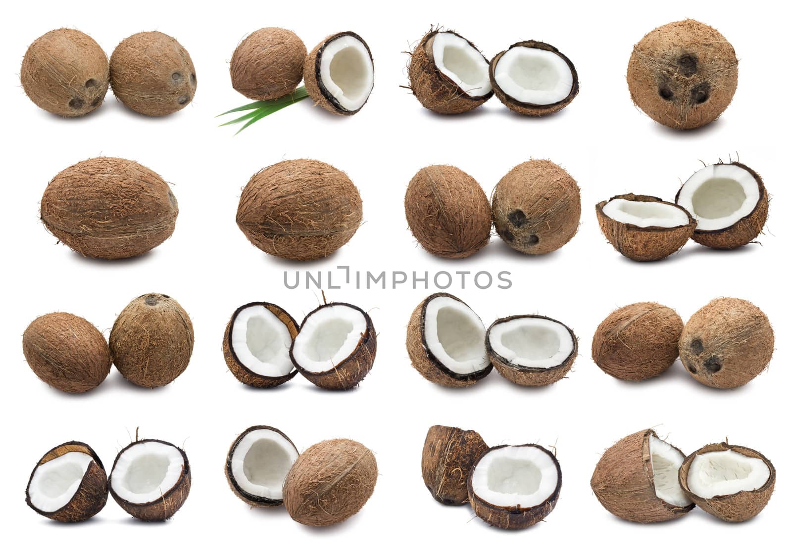 Collection of fresh coconuts isolated on white background