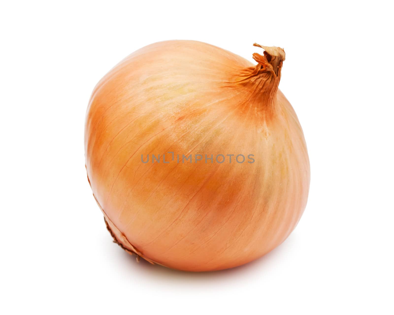 Fresh golden onion isolated on white background
