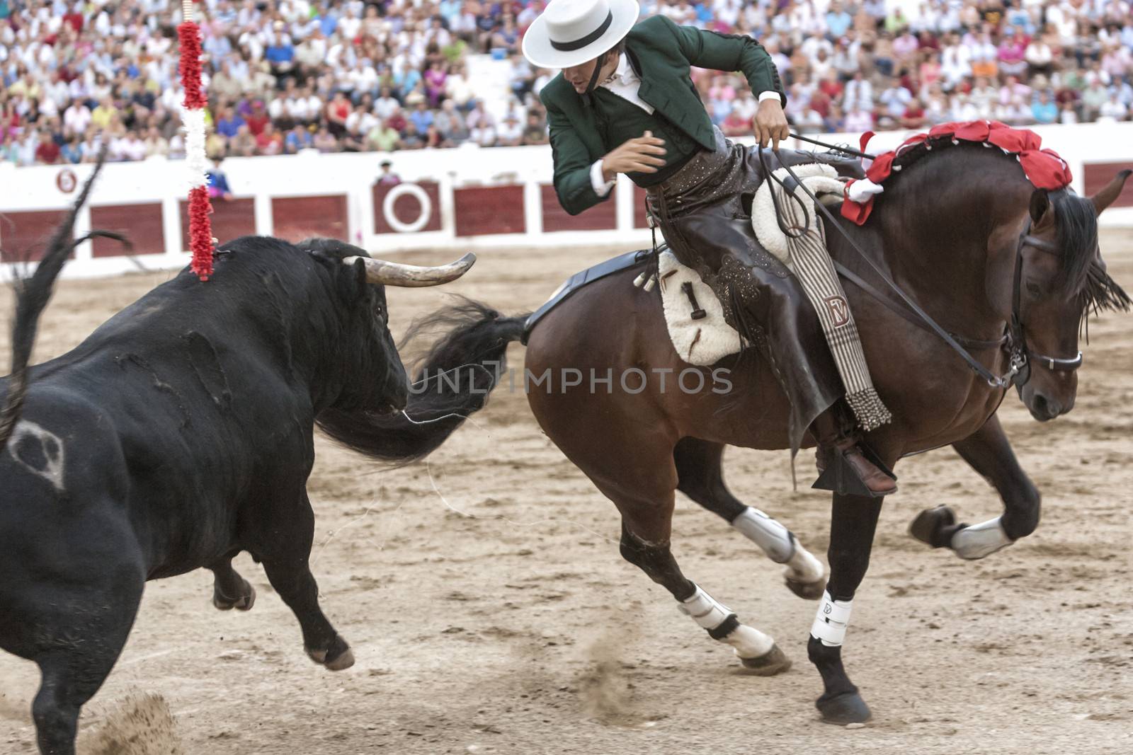 Linares, Jaen province, SPAIN- 37 august 2011: Spanish bullfighter on horseback Diego Ventura bullfighting on horseback, nails a flag of red on the back of the bull jumping trying to achieve with their horns to the bullfighter, in Linares, Jaen province, Andalusia, Spain