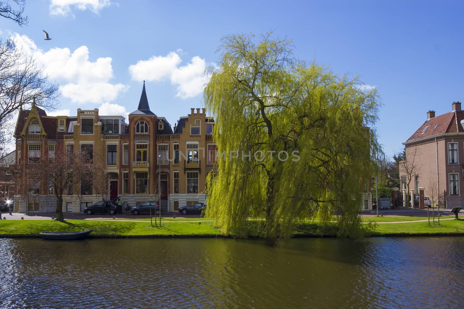 traditional Dutch houses, Alkmaar town, Holland, the Netherlands by Tetyana