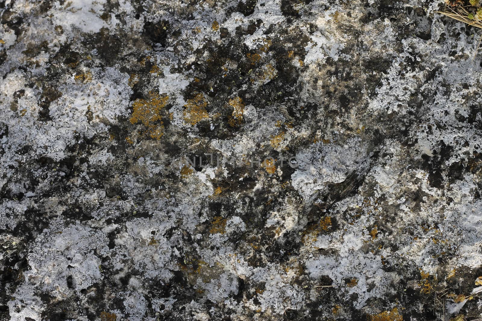 Natural background with a stone and the moss