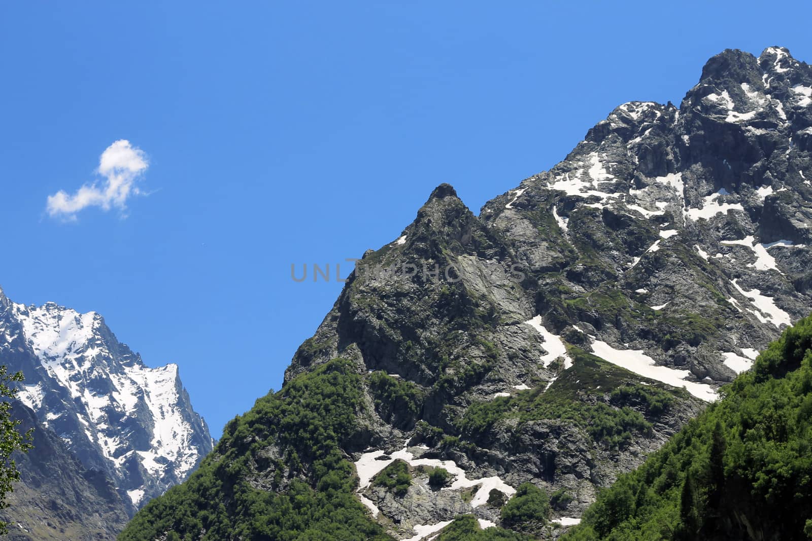 Snowy caucasus mountains and green forest under