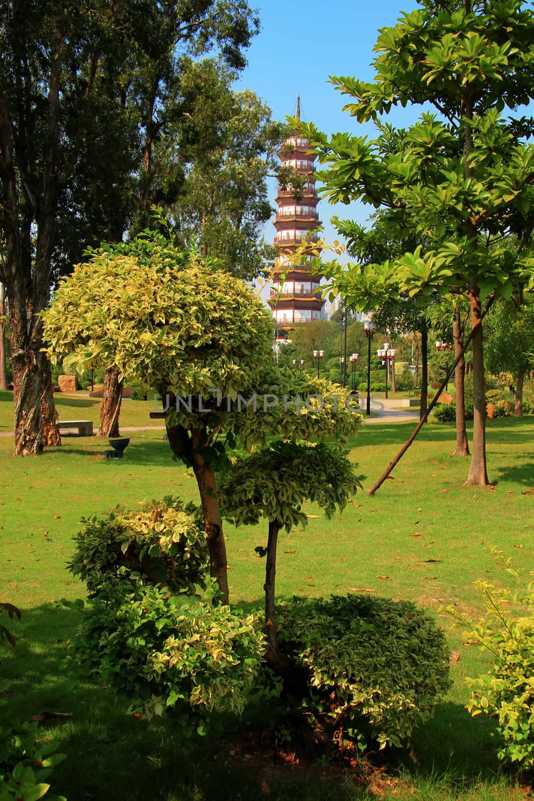 Flower Pagoda of temple of Six Banyan Trees